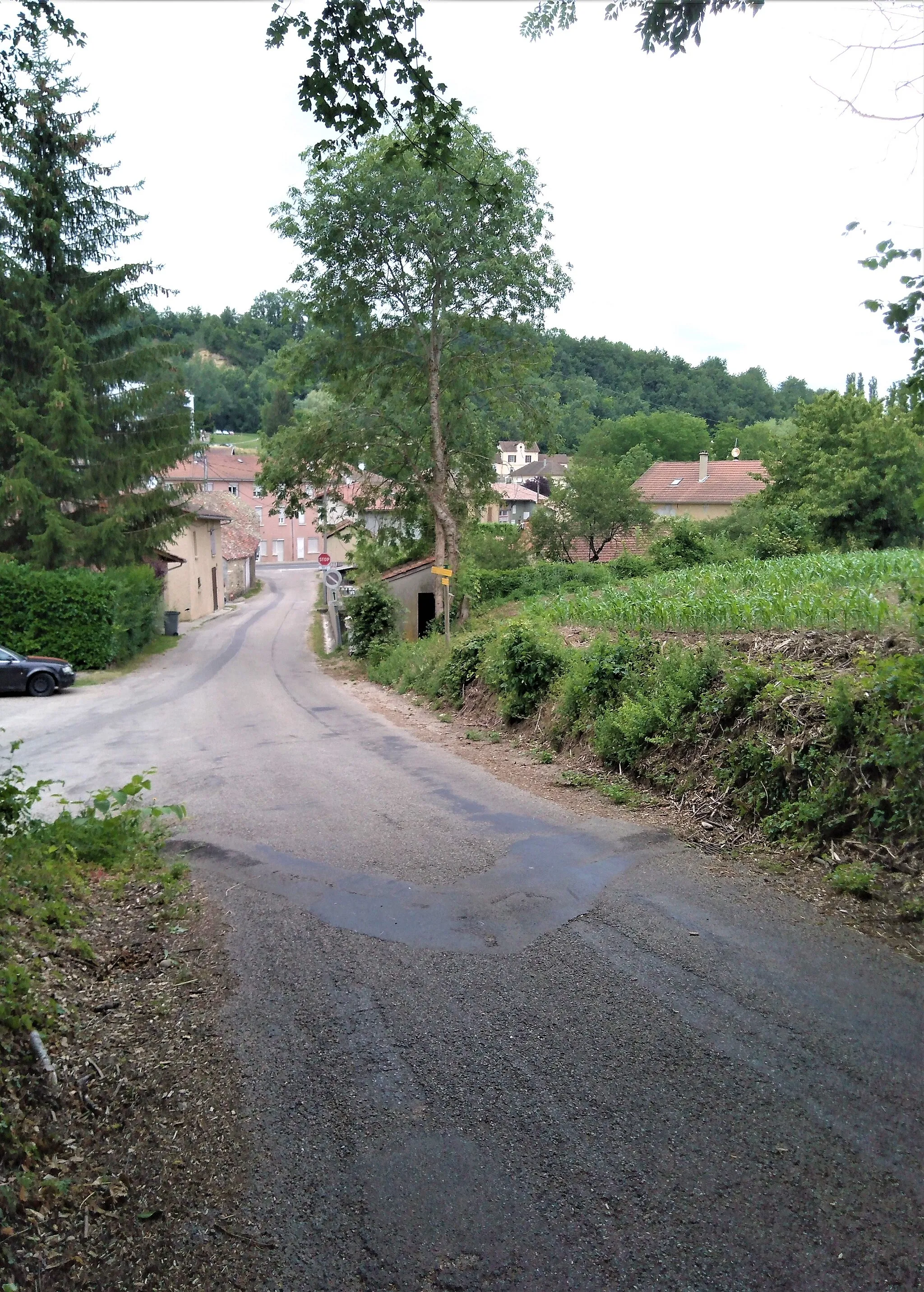 Photo showing: La Combe de Chateauvilain