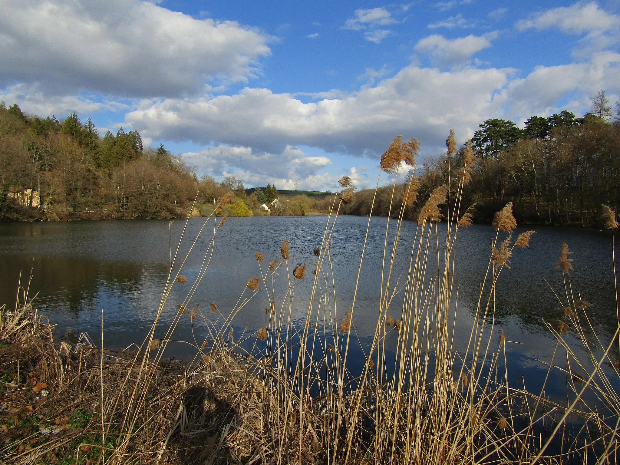 Photo showing: Étang de Meyrieu