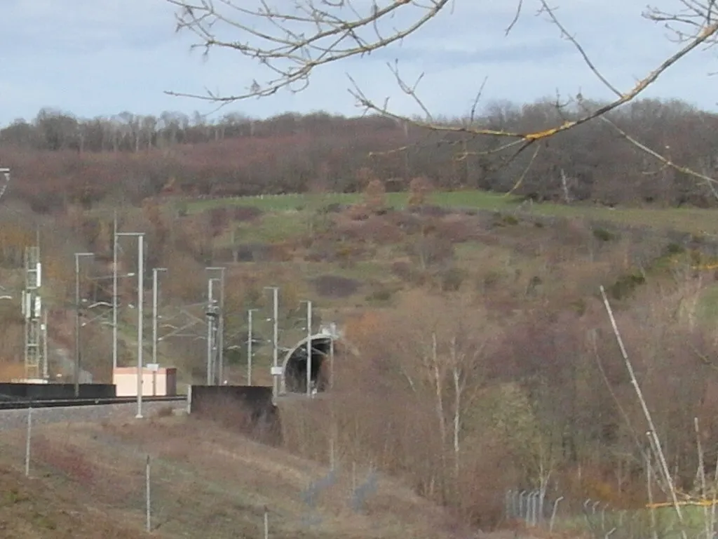 Photo showing: le tunnel de Meyssiez et la forêt des Blaches en mars 2019