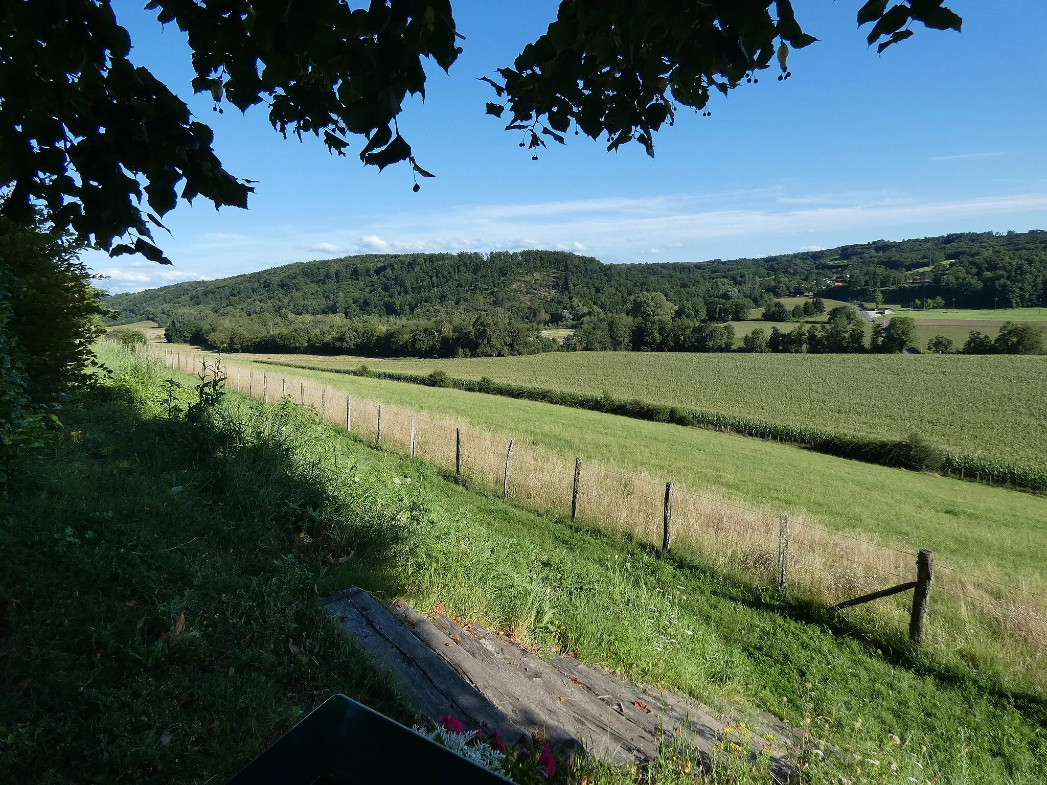 Photo showing: Vue sur la forêt de Tire-Gerbe et sur l'étang de Gôle.