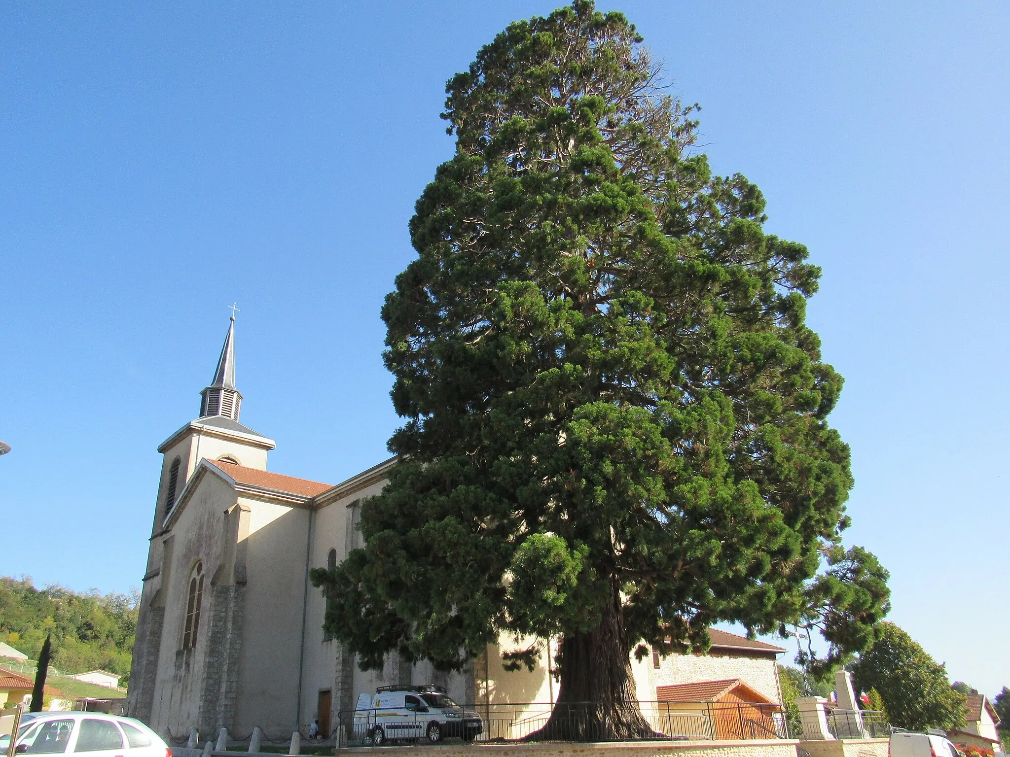 Photo showing: l'église et le wellingtonia