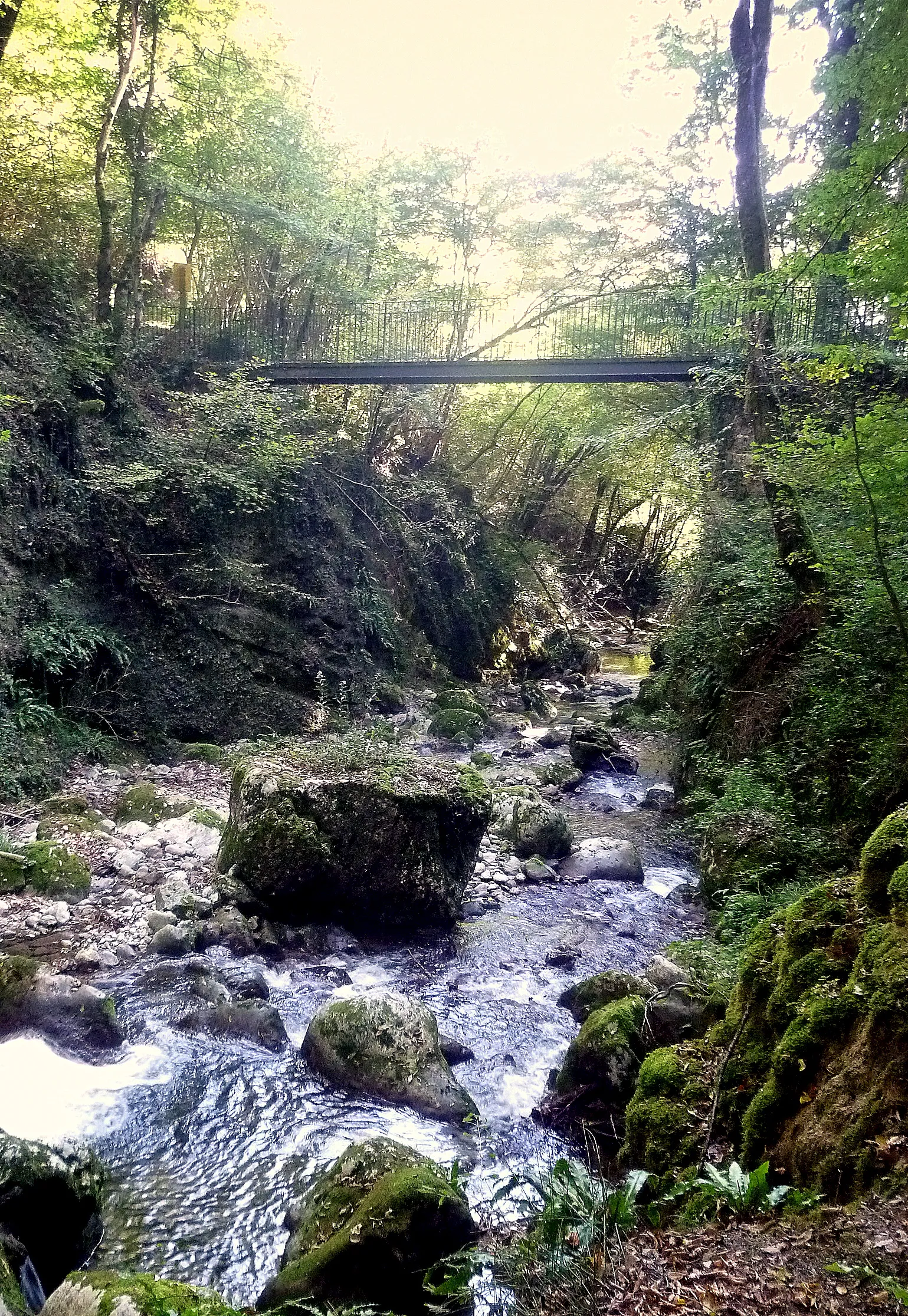 Photo showing: passerelle sur le ruisseau le Tenaison, à Proveysieux, Isère