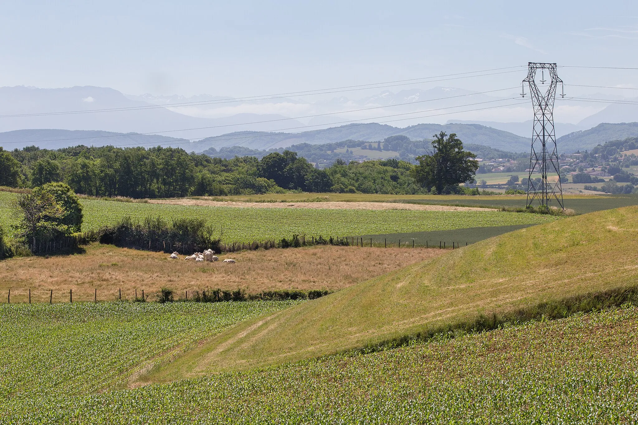 Photo showing: Rural landscape towards Saint-Didier-de-Bizonnes, Isère.