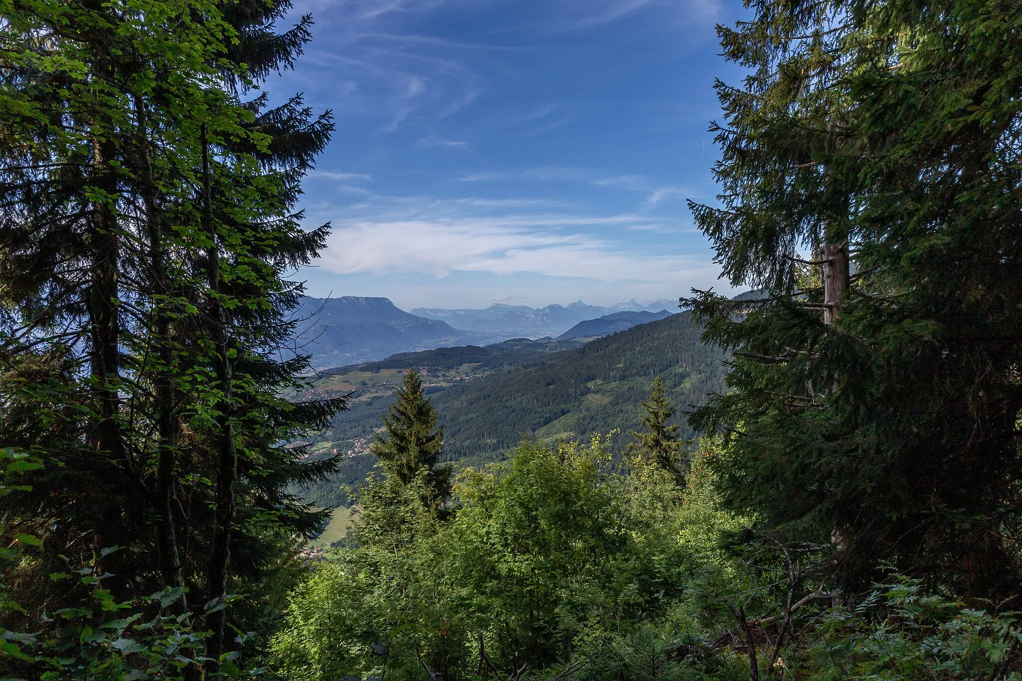 Photo showing: View of the Savoyard mountains through the forest of Saint-Mury.