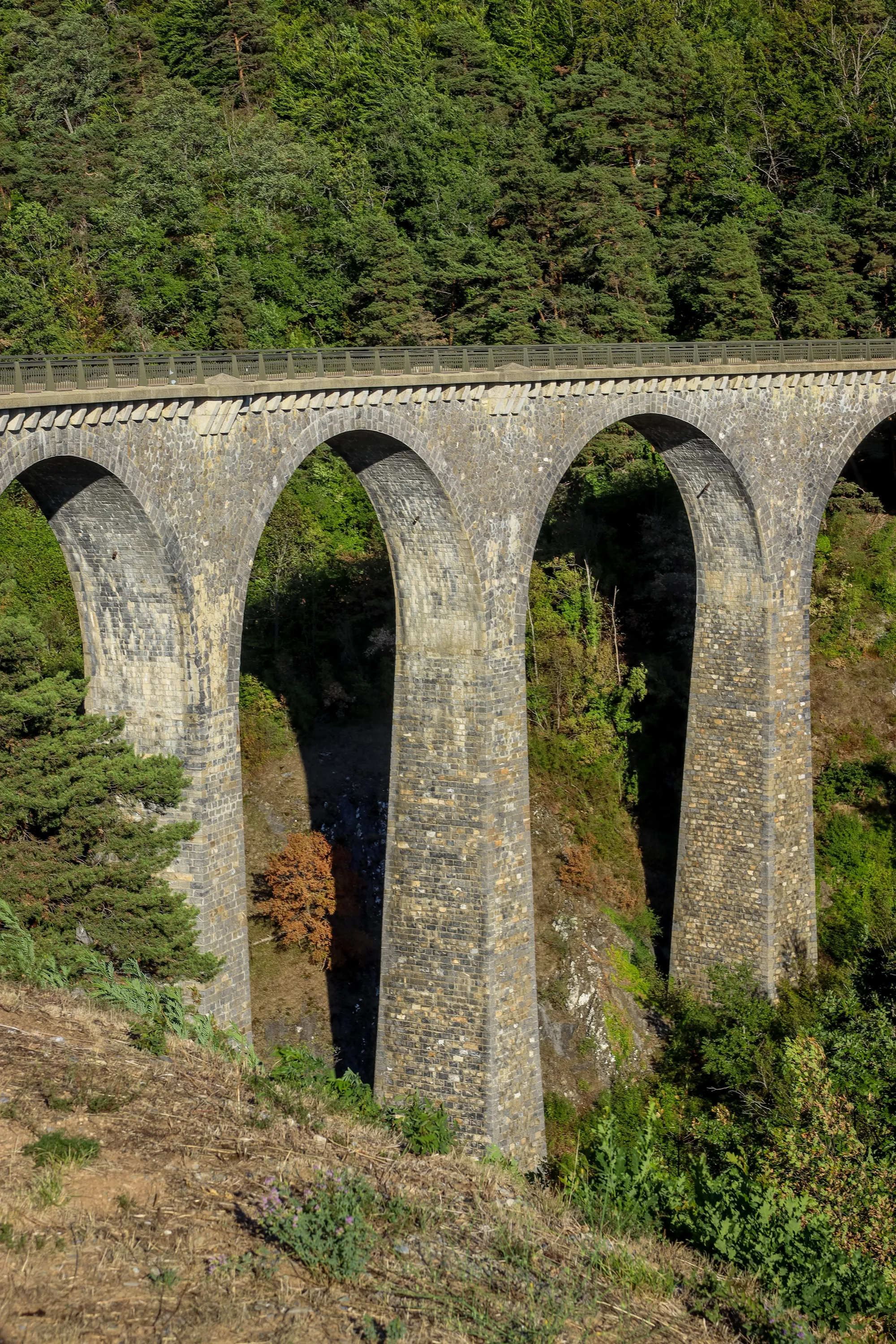 Photo showing: Viaduc sur la Bonne - view from west