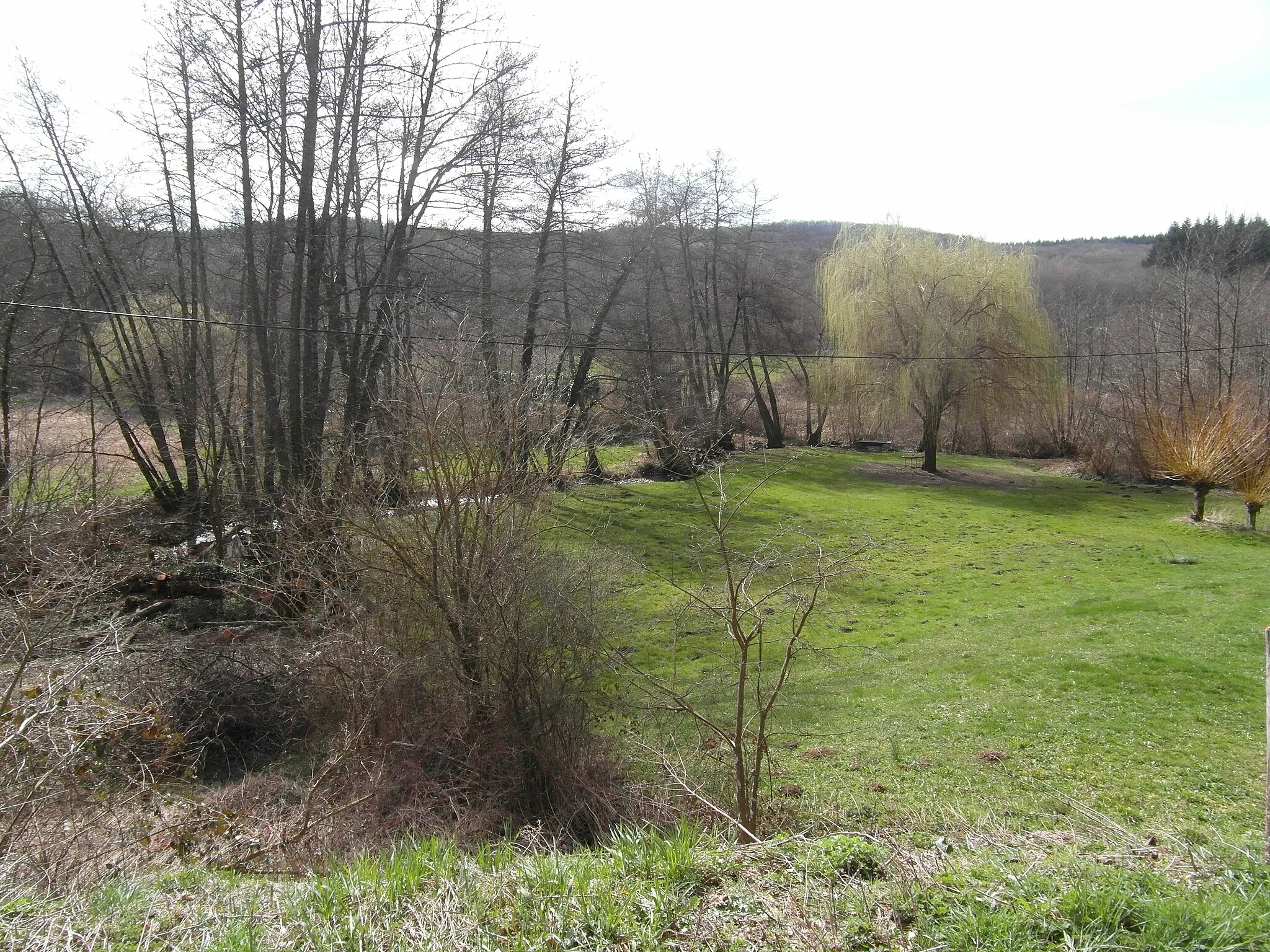 Photo showing: La Gève en forêt de Bonnevaux en mars 2019