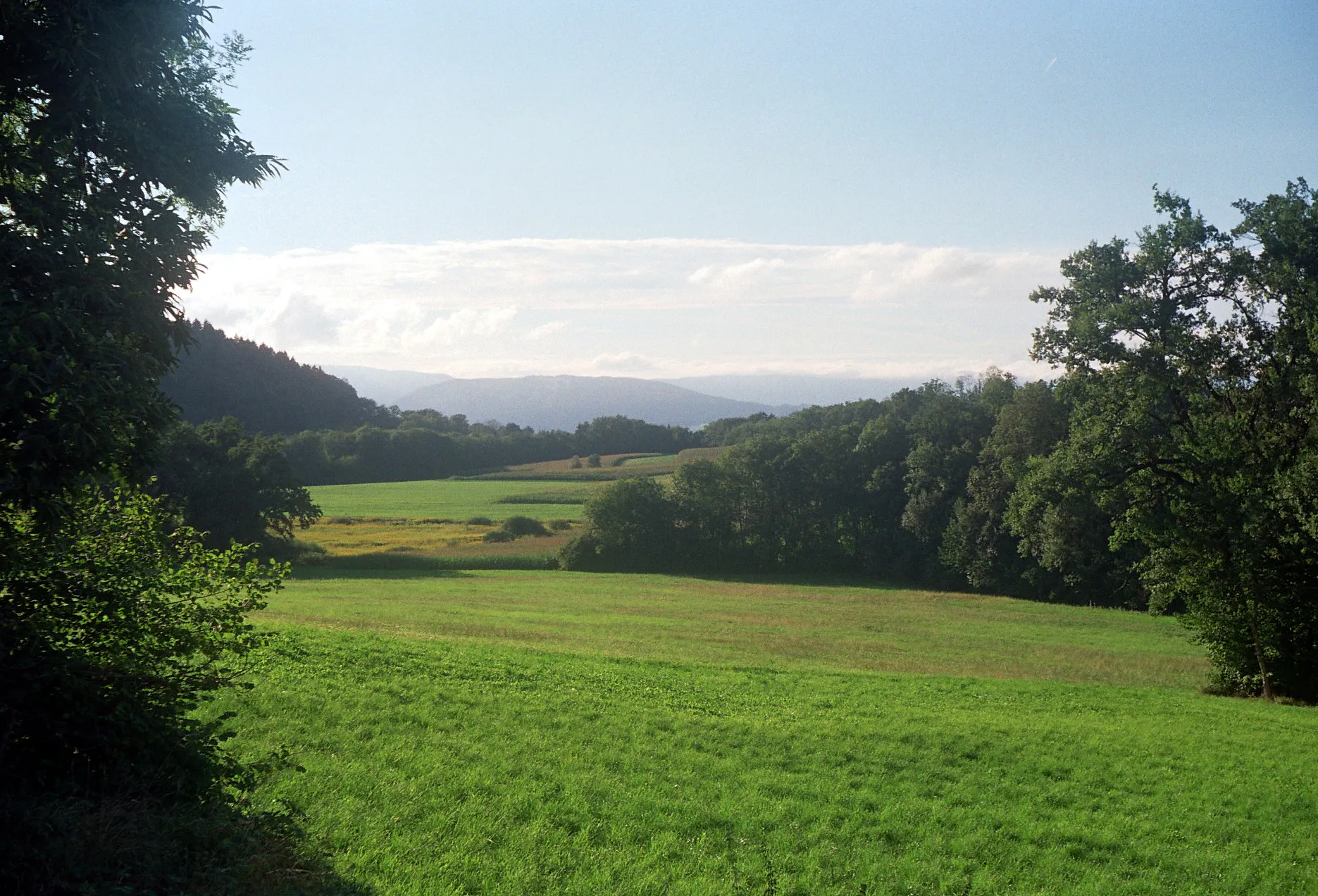 Photo showing: Lisière nord du bois des Lanches aux confins des communes de Montagny-les-Lanches et de Marcellaz-Albanais (Haute-Savoie, France), rare coin de campagne encore épargné par le "mitage rurbain", août 2010 : prés de Gambé et de Malibrande, départ du ruisseau des petites Creuses (bois) descendant vers le Fier; montagne des Princes au loin et, tout au fond, le Jura.