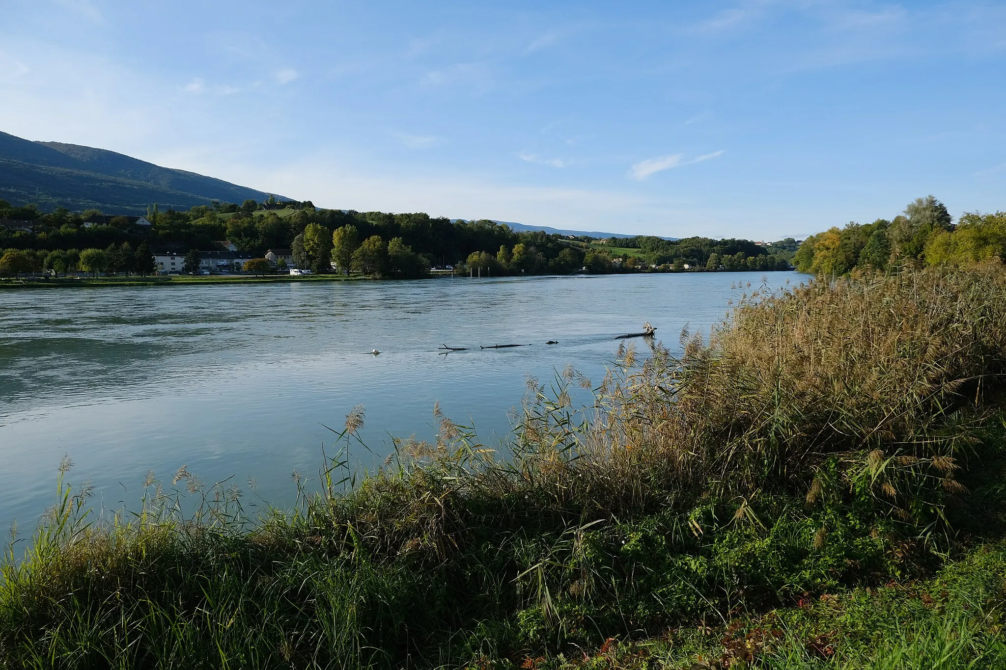 Photo showing: Rhône @ Jardin Public @ Seyssel (Haute-Savoie)