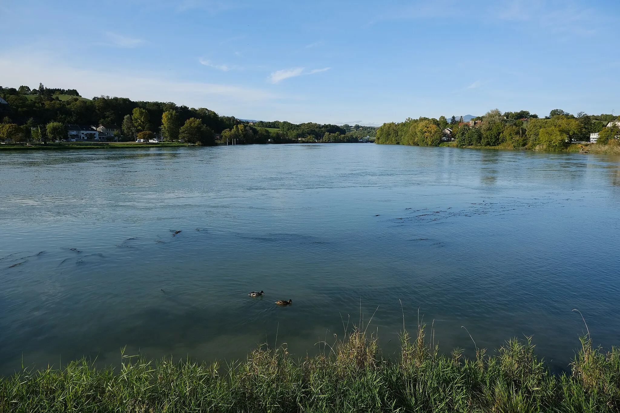 Photo showing: Rhône @ Jardin Public @ Seyssel (Haute-Savoie)