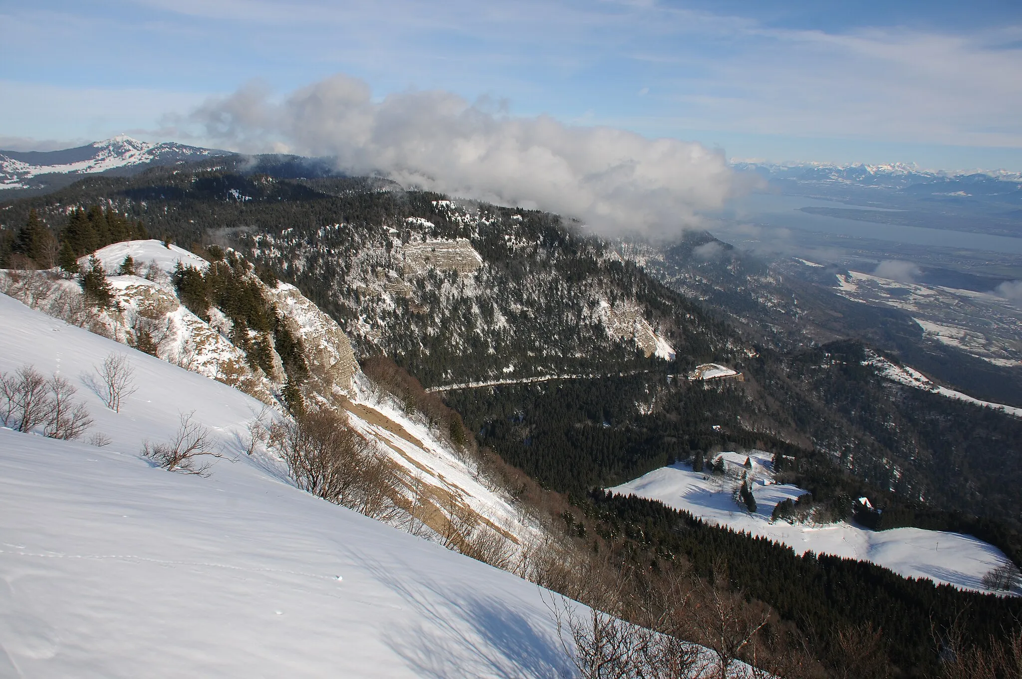 Photo showing: Looking North to the white snowing top of La Dole 1677 m, with in the middle in the meadow below the rocks 20 chamois. See next picture for details