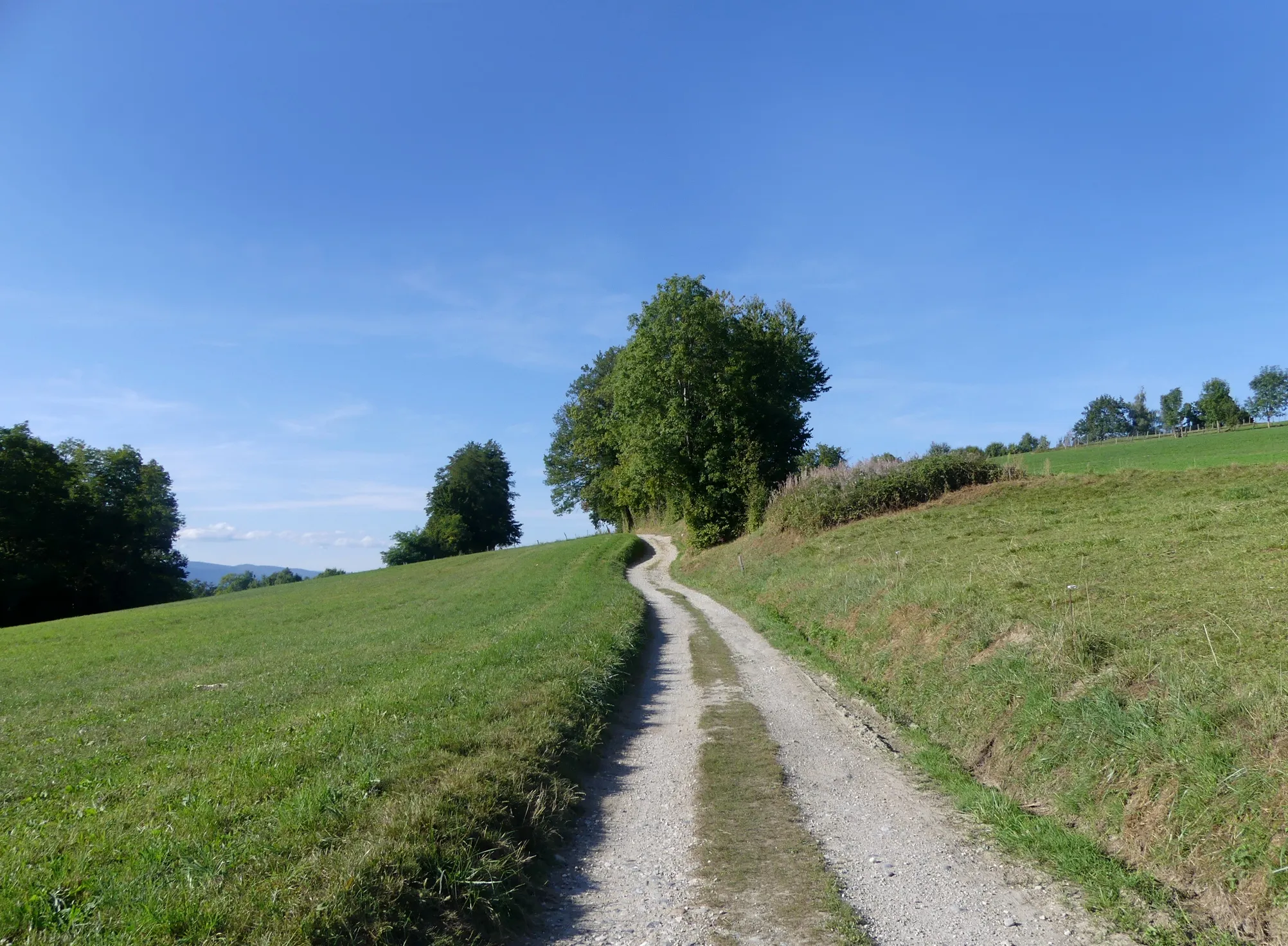 Photo showing: Sight of a track from Cusy towards Chainaz-les-Frasses, in Haute-Savoie, France.