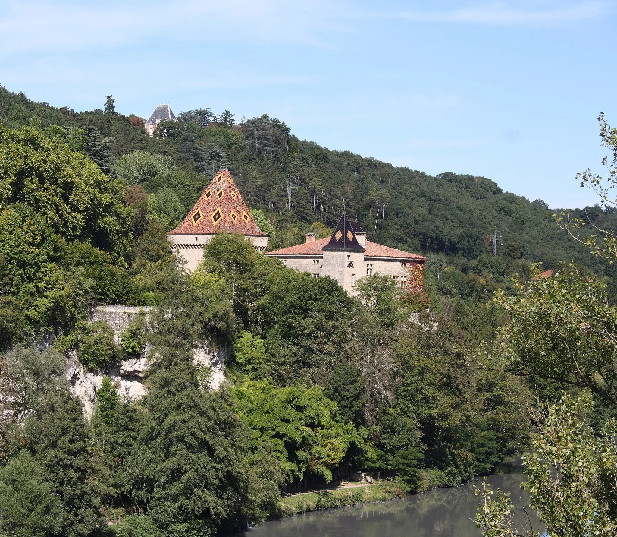 Photo showing: Château de la Sône in La Sône