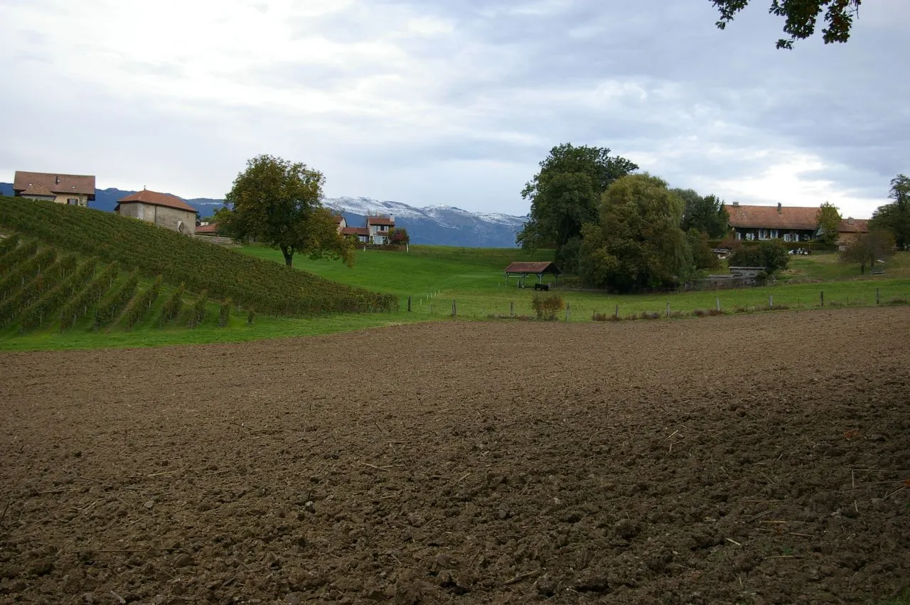 Photo showing: Geneva countryland's landscape at Avusy