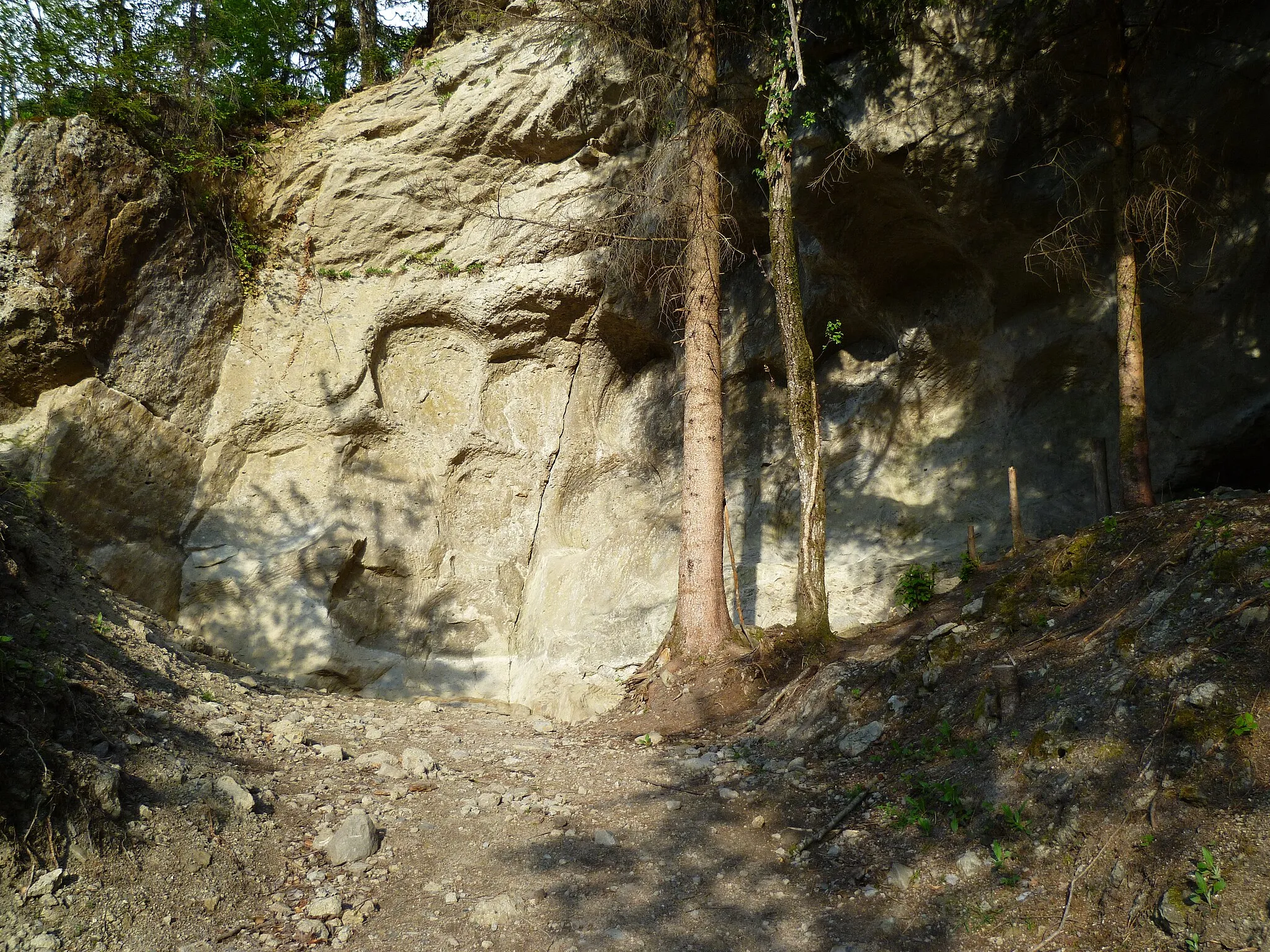 Photo showing: The Meulière à Vachat, in Mount Vouan, Haute-Savoie, France.