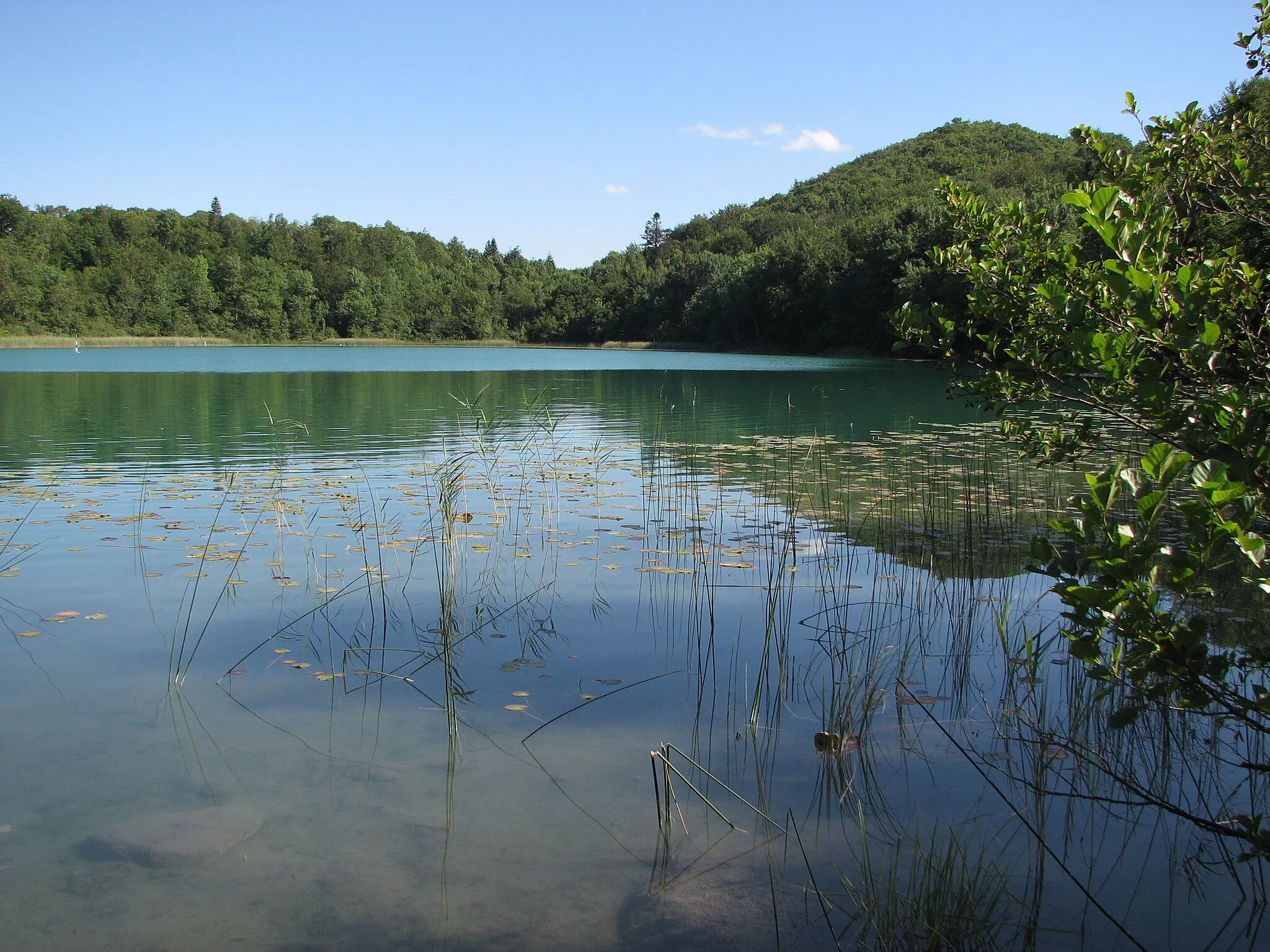 Photo showing: Lac d'Ambléon (Ain)