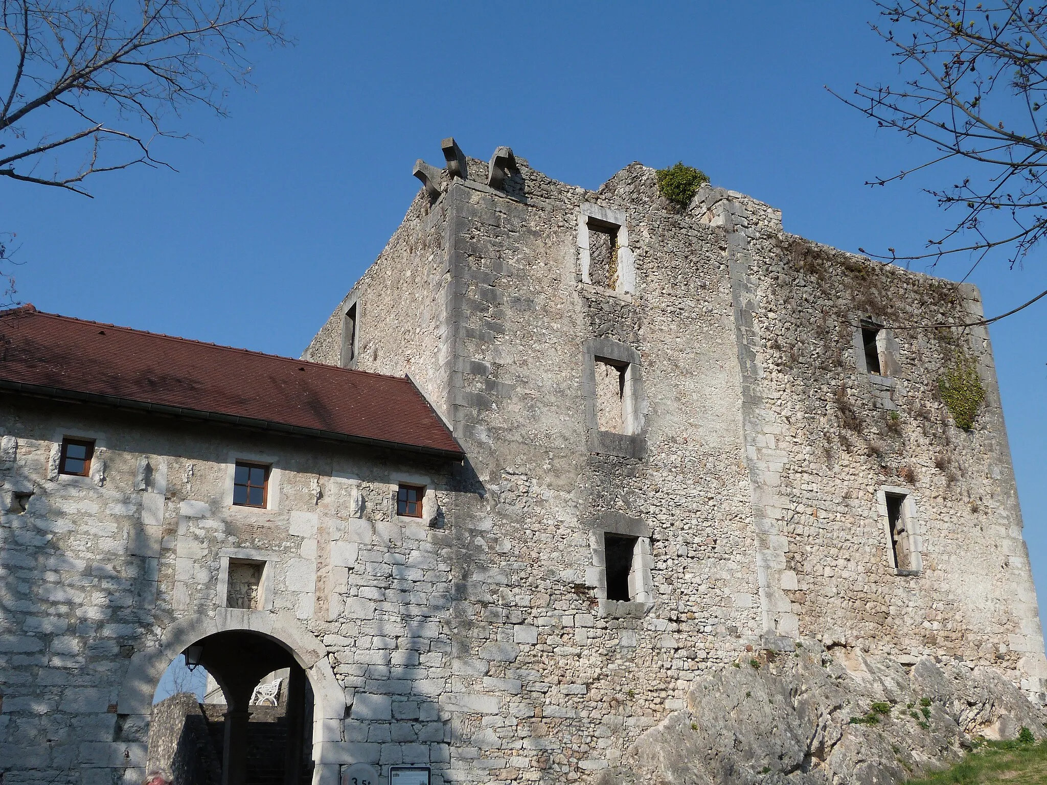Photo showing: Chateau de Rochefort sur Séran - 1