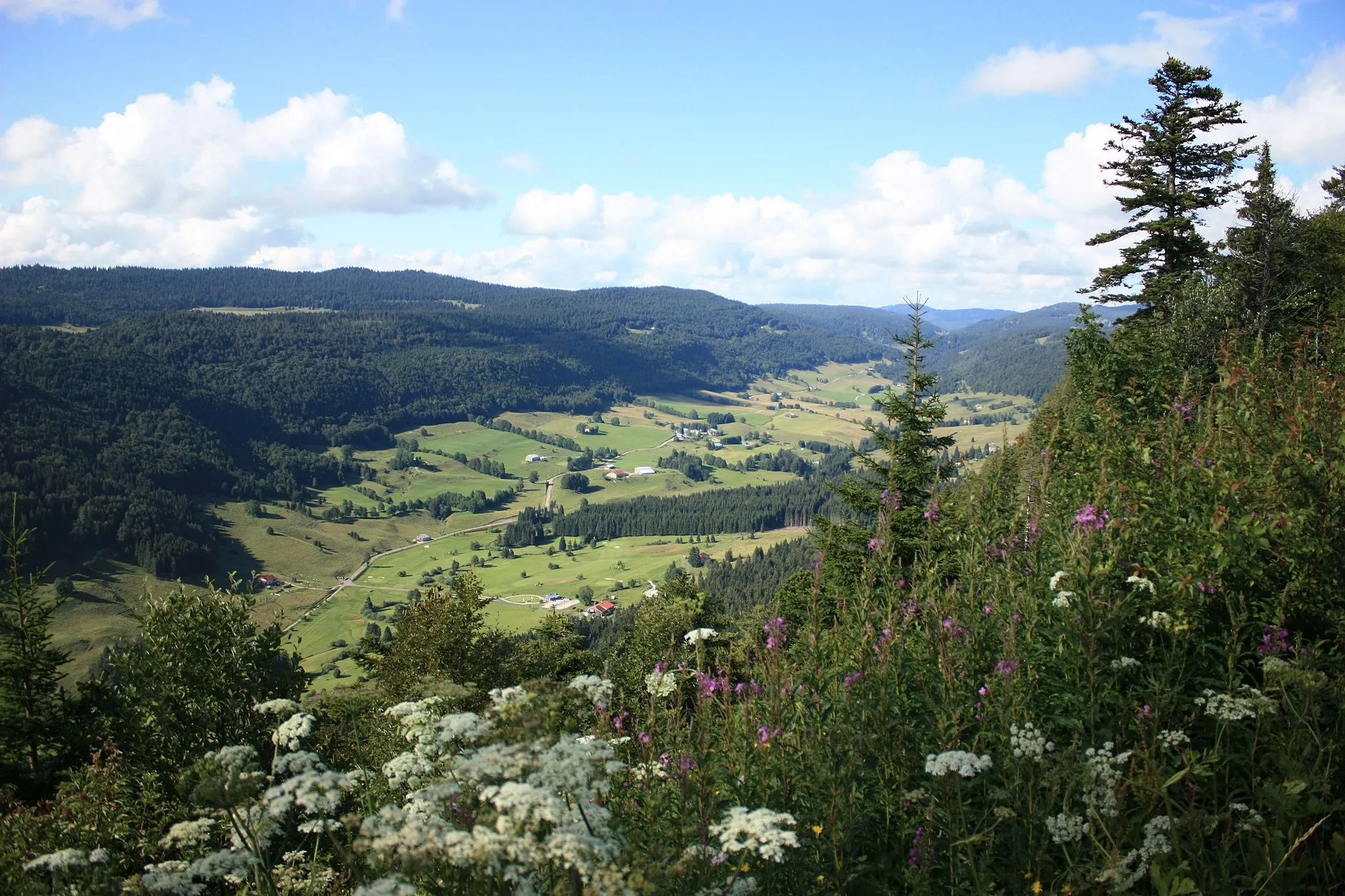 Photo showing: Vallée de la Valserine et massif du massacre