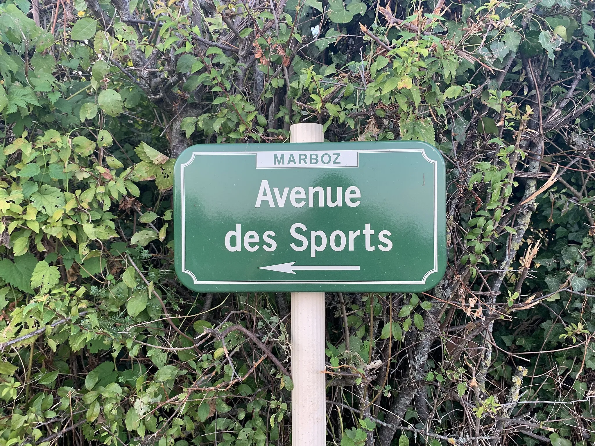 Photo showing: Plaque de l'avenue des Sports, Marboz.