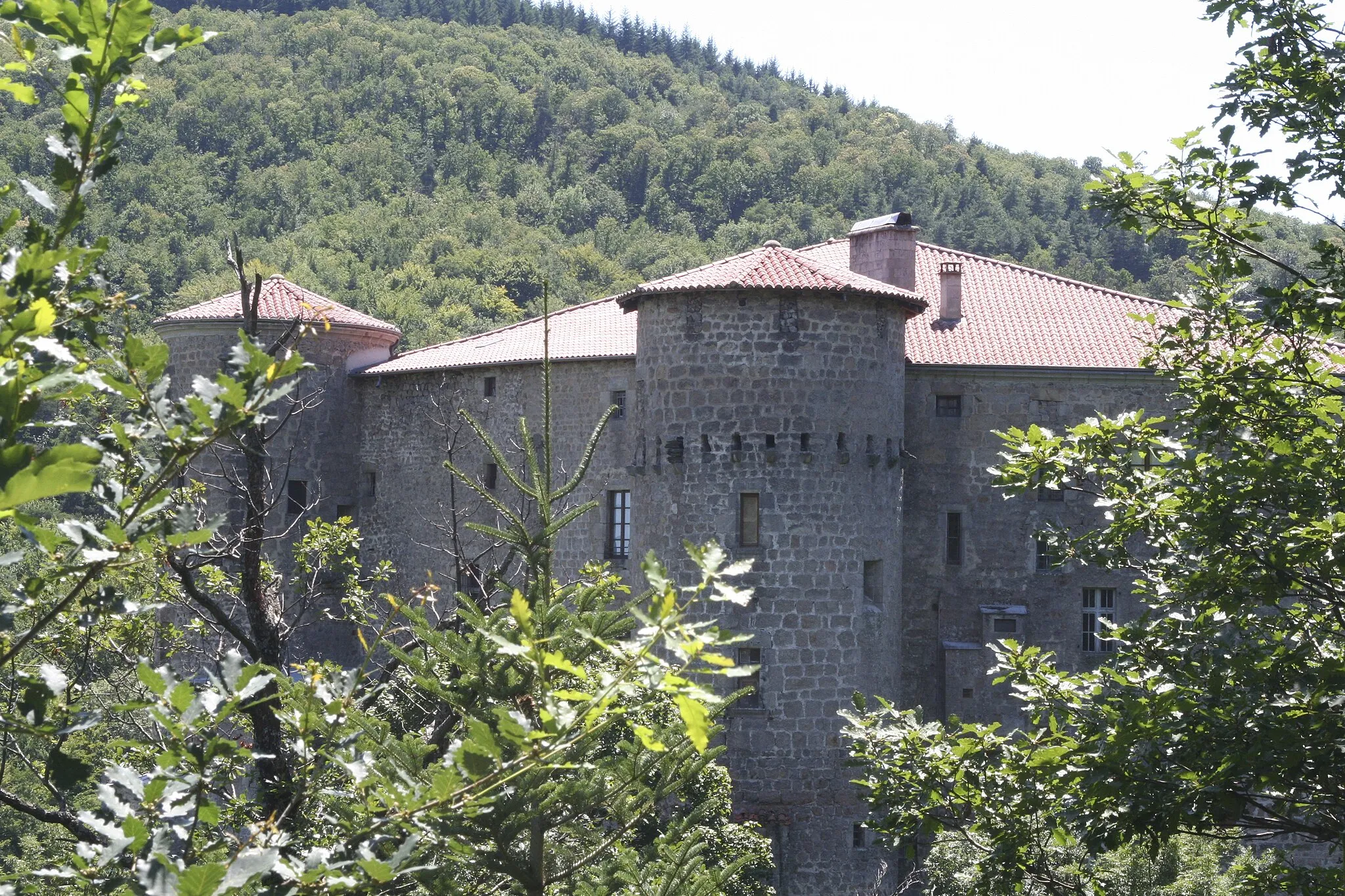 Photo showing: Boscs Castle