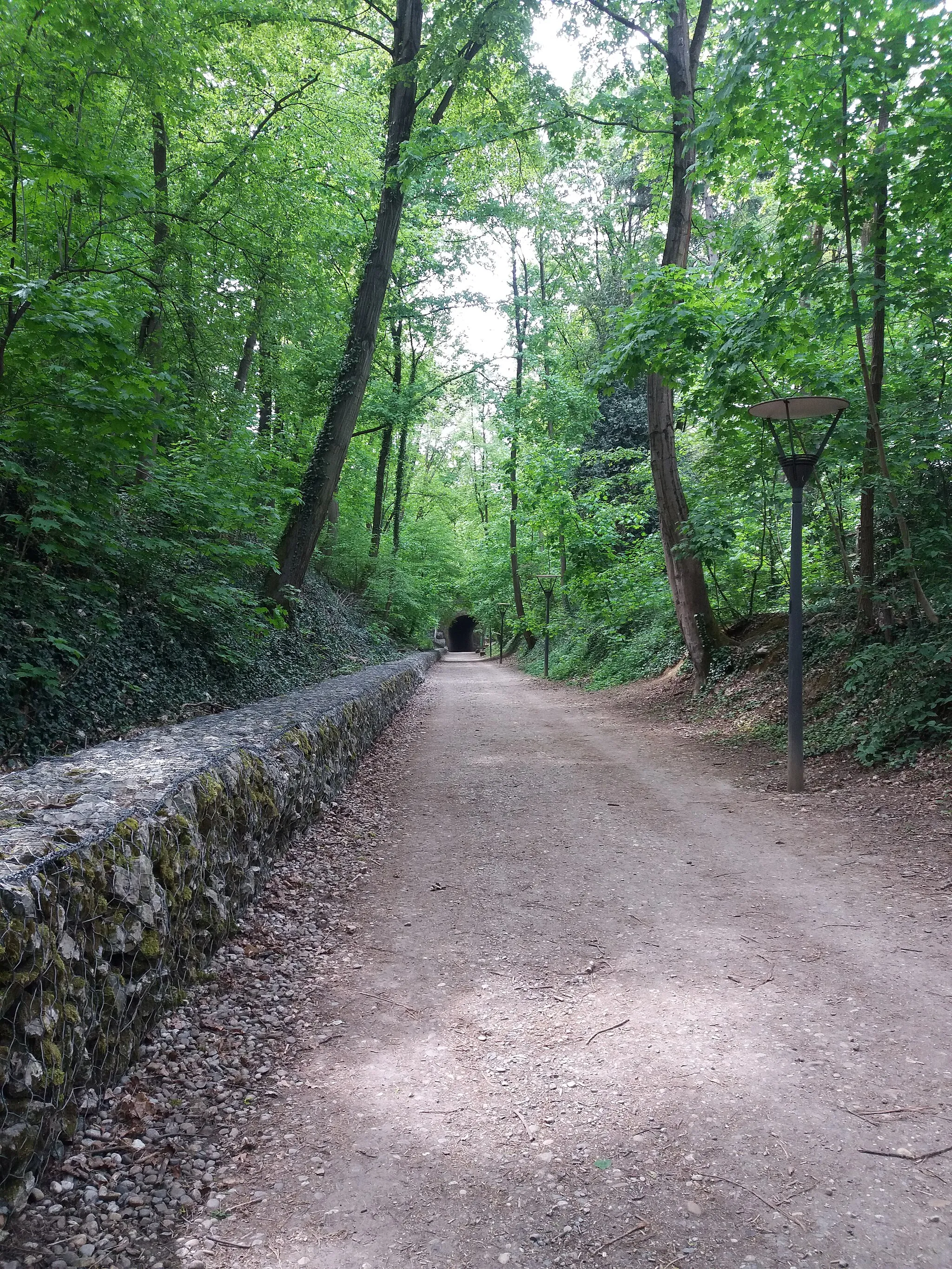 Photo showing: Chemin de la Demi-Lune.