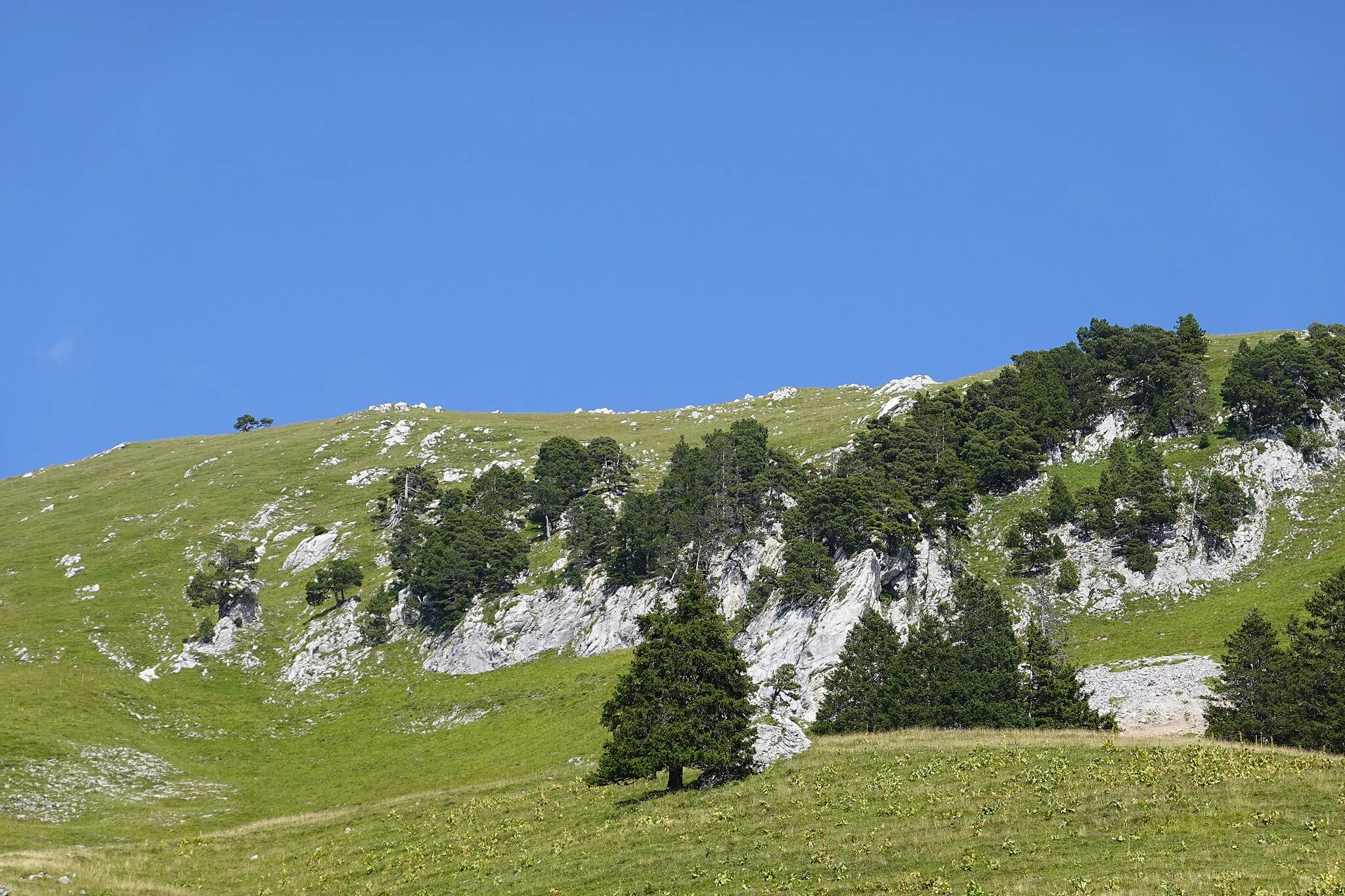 Photo showing: Aillon-le-Vieux