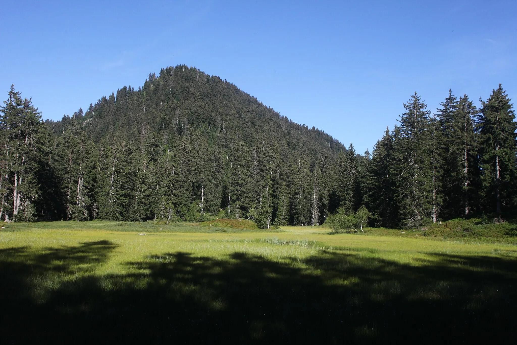 Photo showing: Le lac des Saisies dans la RNR de la Tourbière des Saisies - Beaufortain - Val d'Arly.