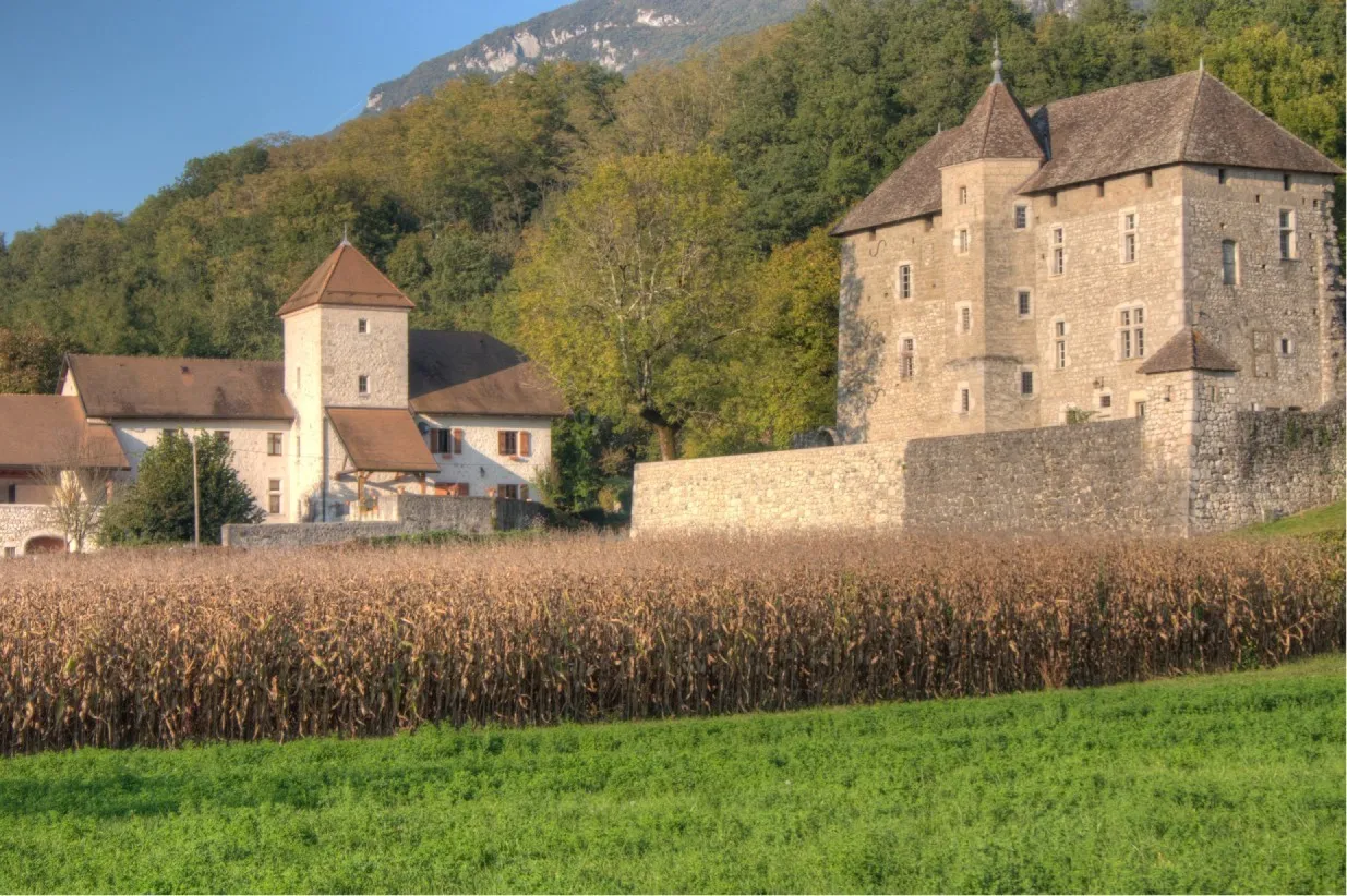 Photo showing: Château de Mecorat