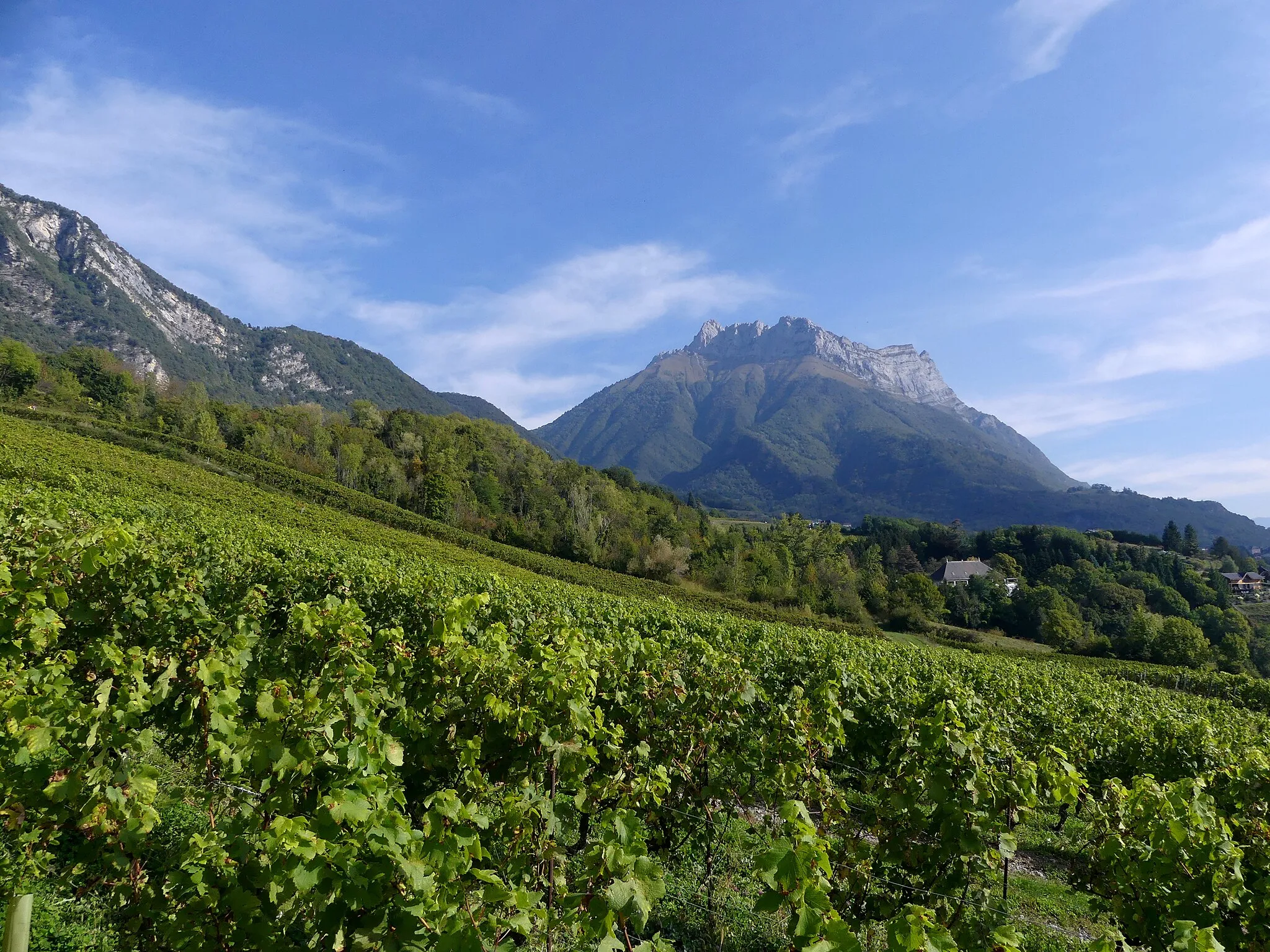 Photo showing: Sight of vineyards on the slopes of Bauges mountain range, in Saint-Jean-de-la-Porte, Savoie, France.