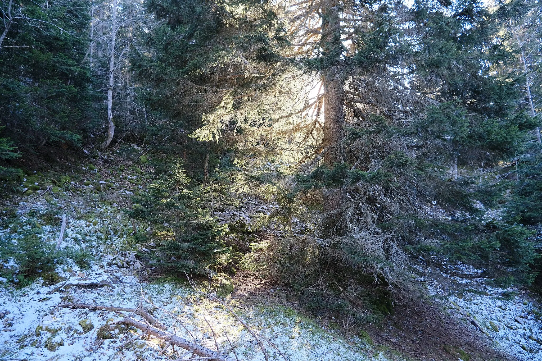 Photo showing: Semnoz