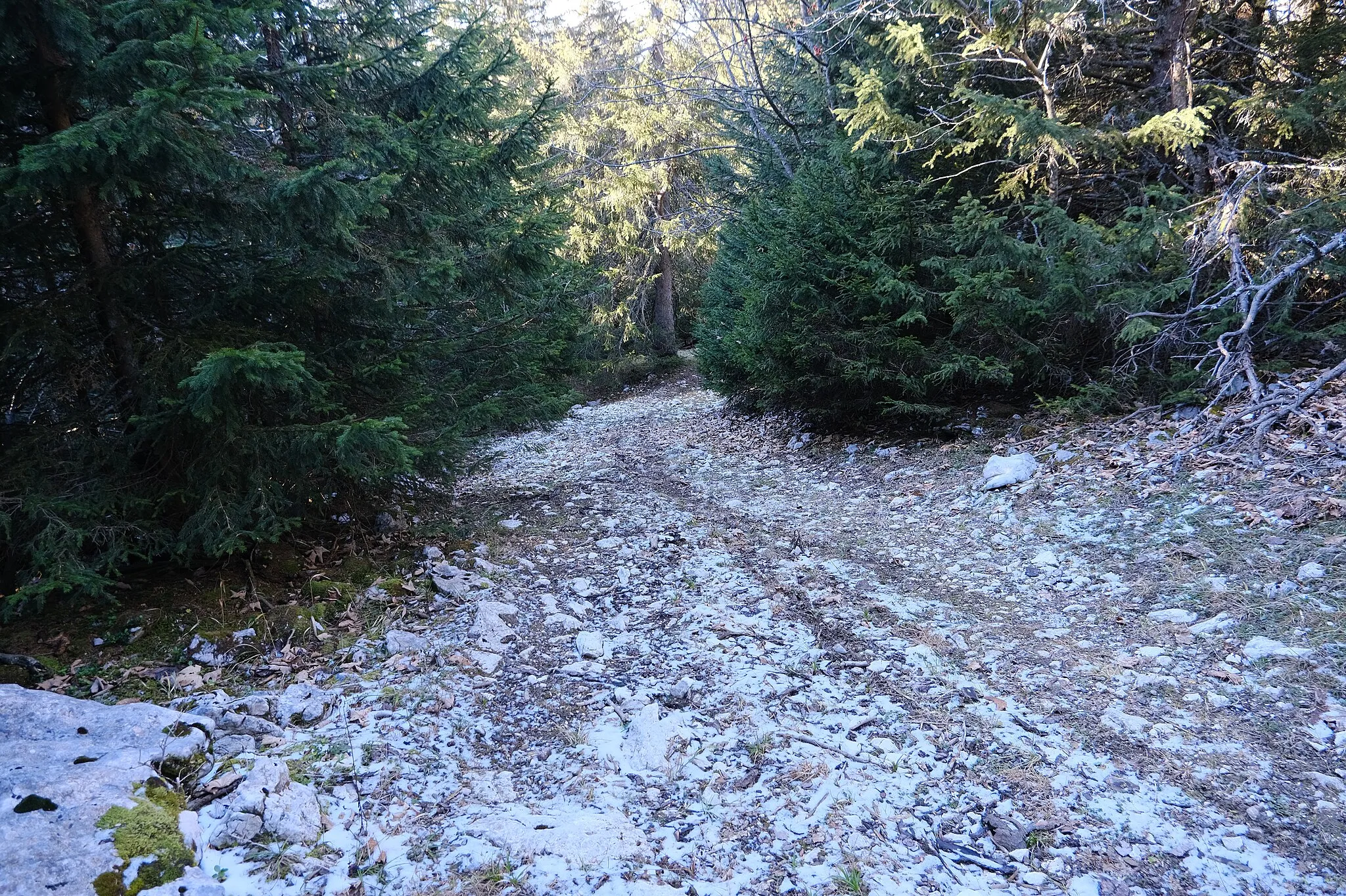 Photo showing: Semnoz