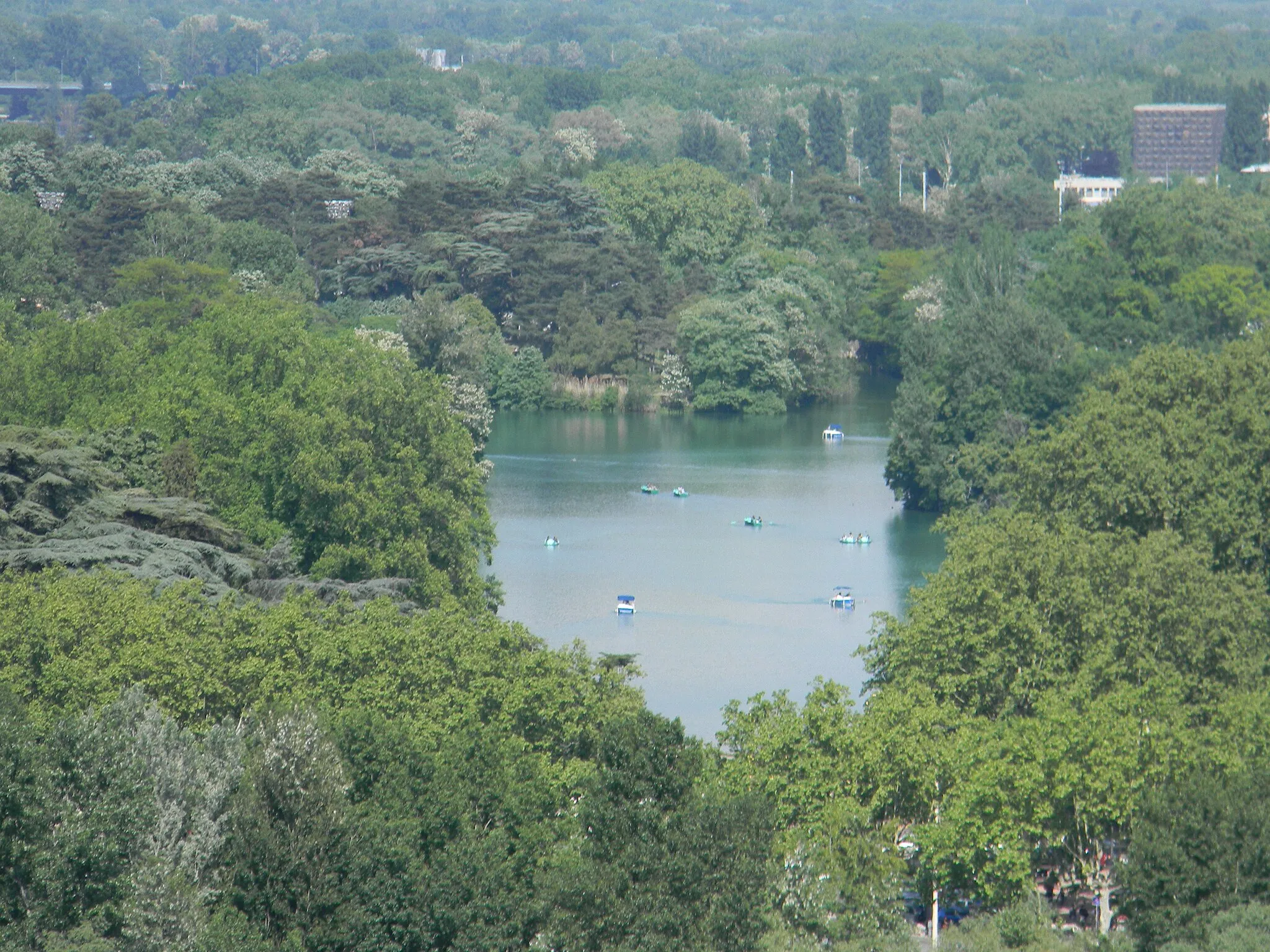 Photo showing: The lake of the Tête d'Or park in Lyon