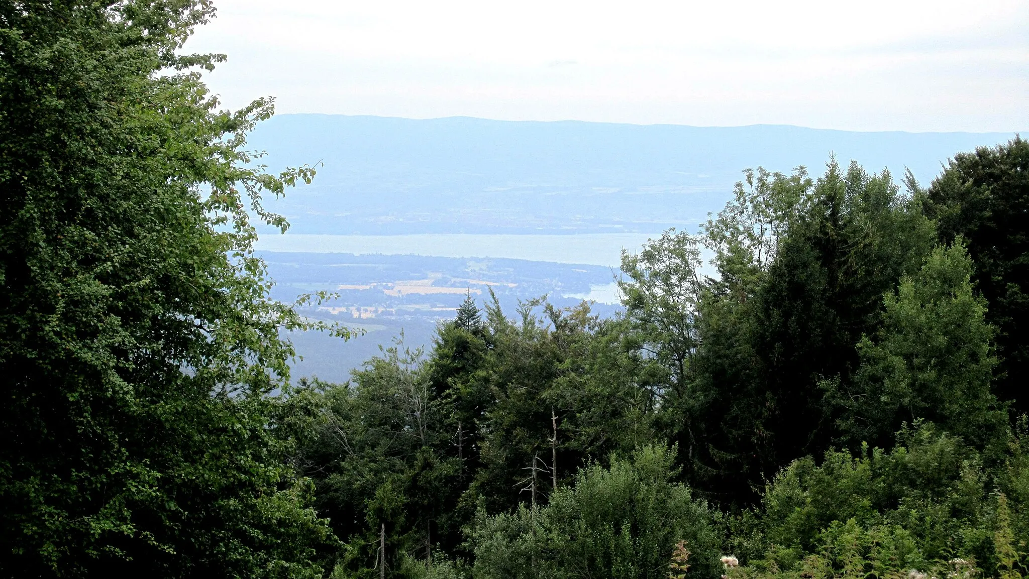 Photo showing: Le lac Léman depuis le col de Cou