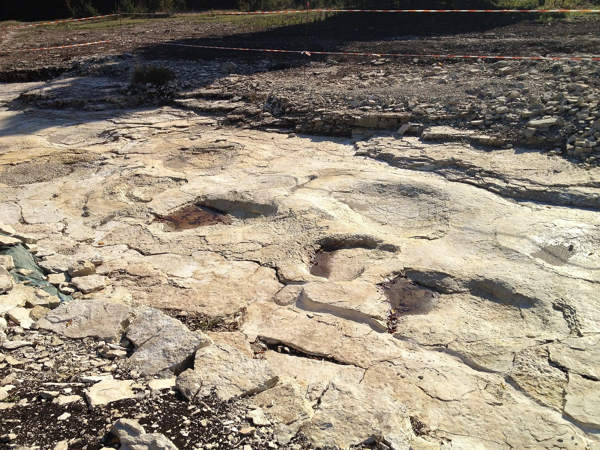 Photo showing: Empreintes de sauropode sur la commune de Plagne (Ain), sur le site de «Dinoplagne»