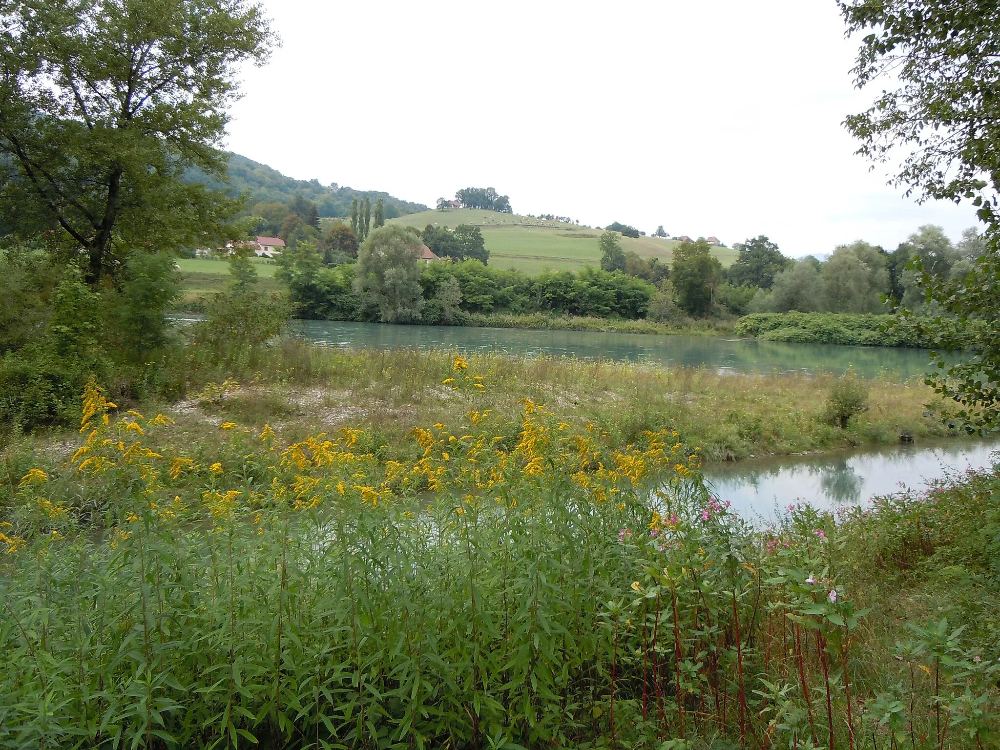 Photo showing: Yenne (Savoie) : Le Rhône: ZNIEFF du Haut-Rhône de la Chautagne aux chutes de Virignin - Face au hameau de Magnin, Commune de Nattage. (Ain)