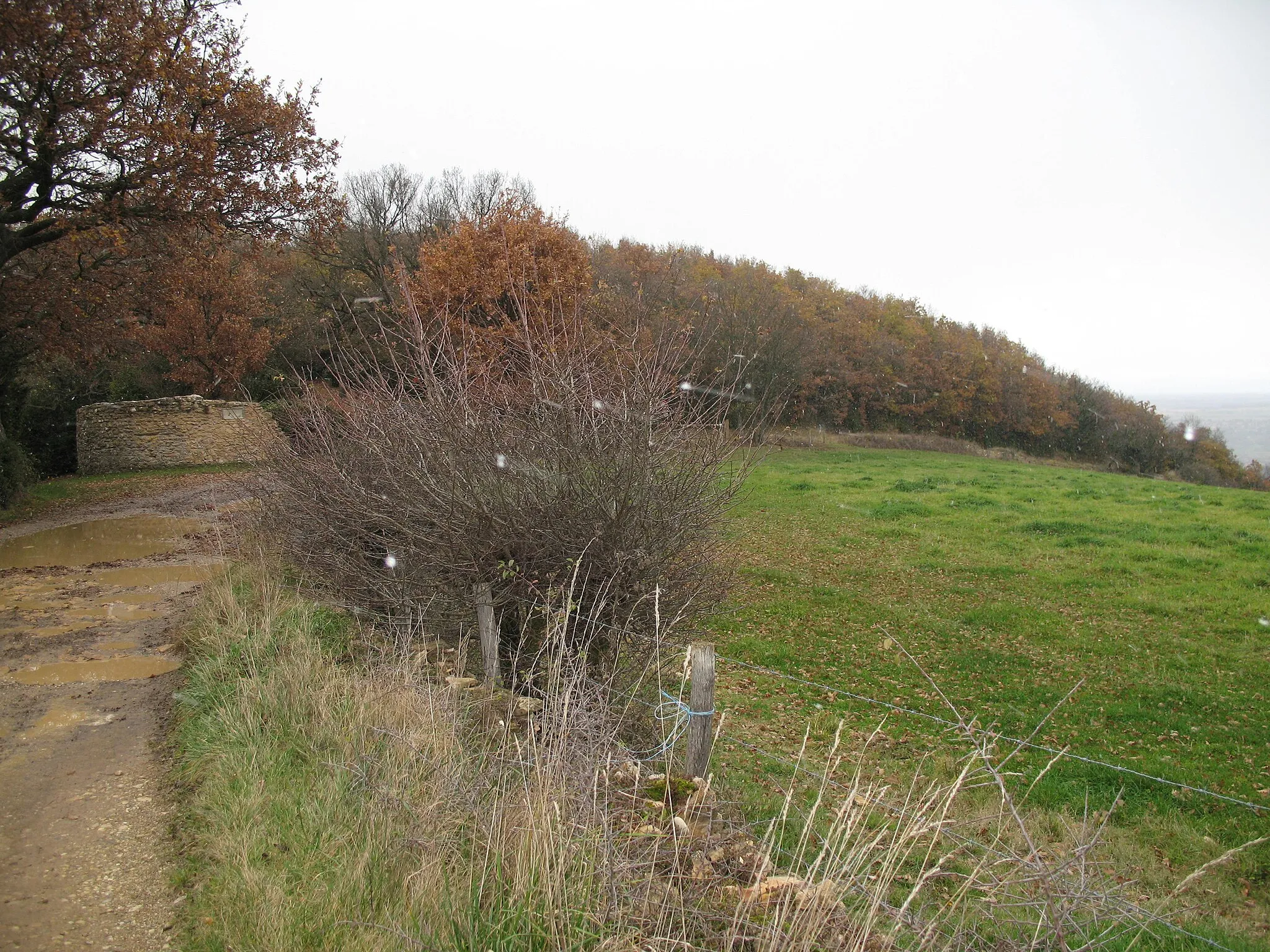 Photo showing: Croix Rampau (Poleymieux-au-Mont-d'Or)- 465m - 1.