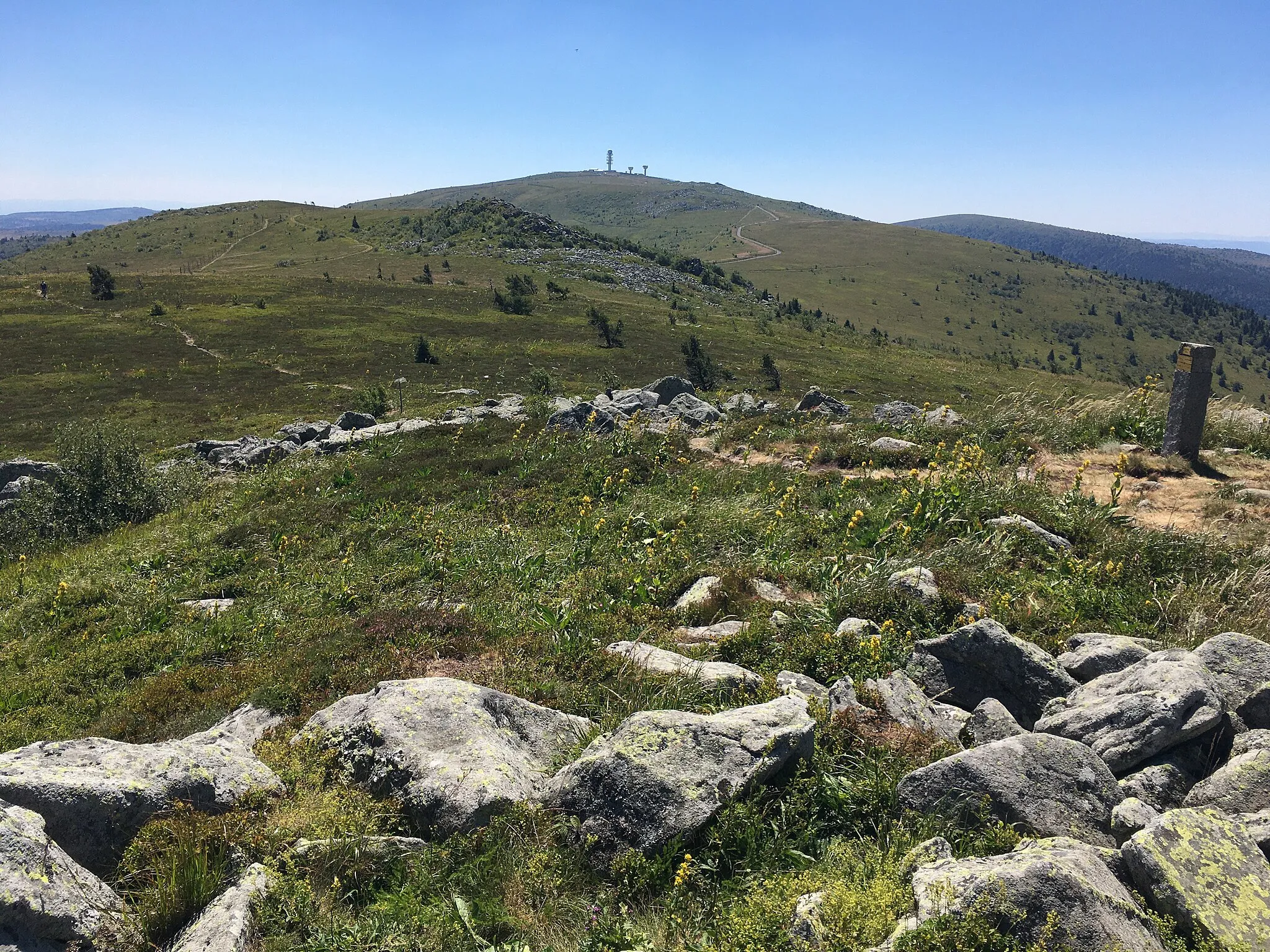 Photo showing: Photographie prise du bord sud-est de Peyre-Mayou en direction du sommet des monts du Forez : Pierre-sur-Haute.