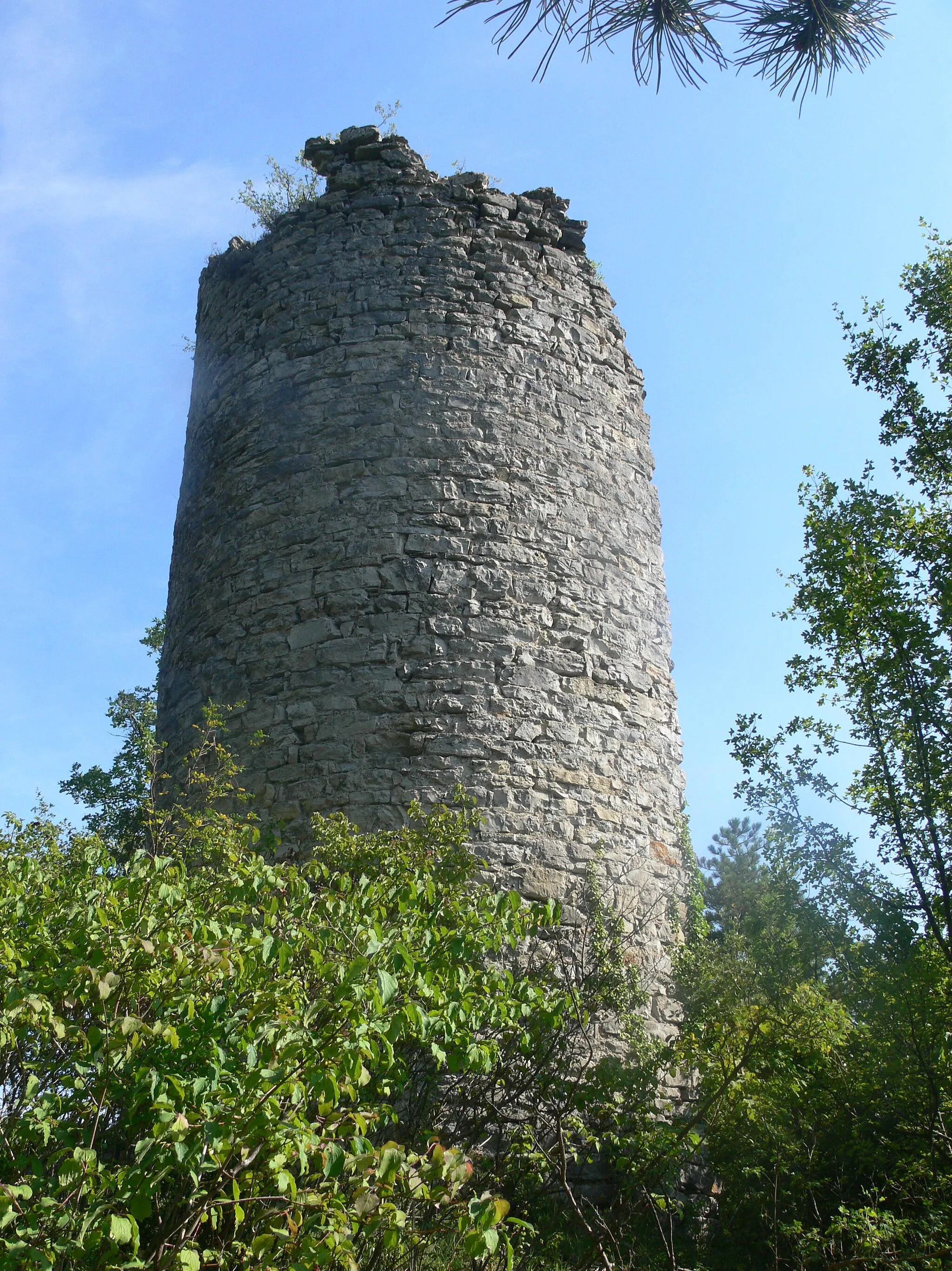 Photo showing: Saint-Julien-en-Saint-Alban - château de Saint-Alban