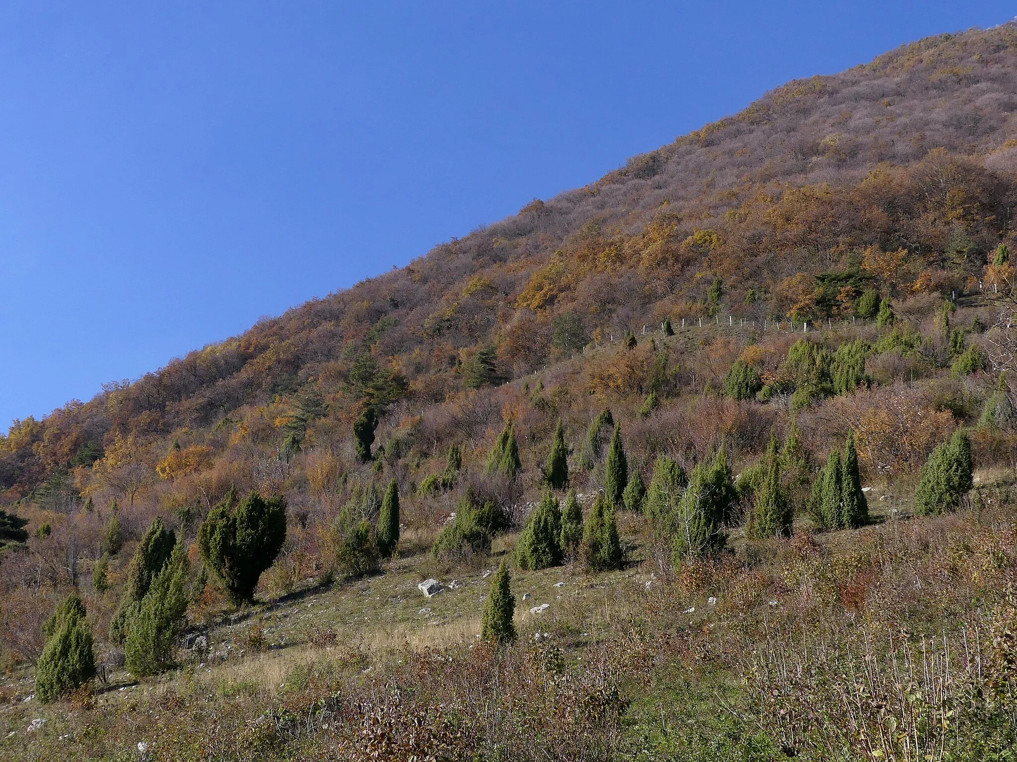 Photo showing: Sight, in autumn, of woodlands on the slopes of Roc de Tormery mountain, overhanging Montmélian and Combe de Savoie valley, in Savoie, France.