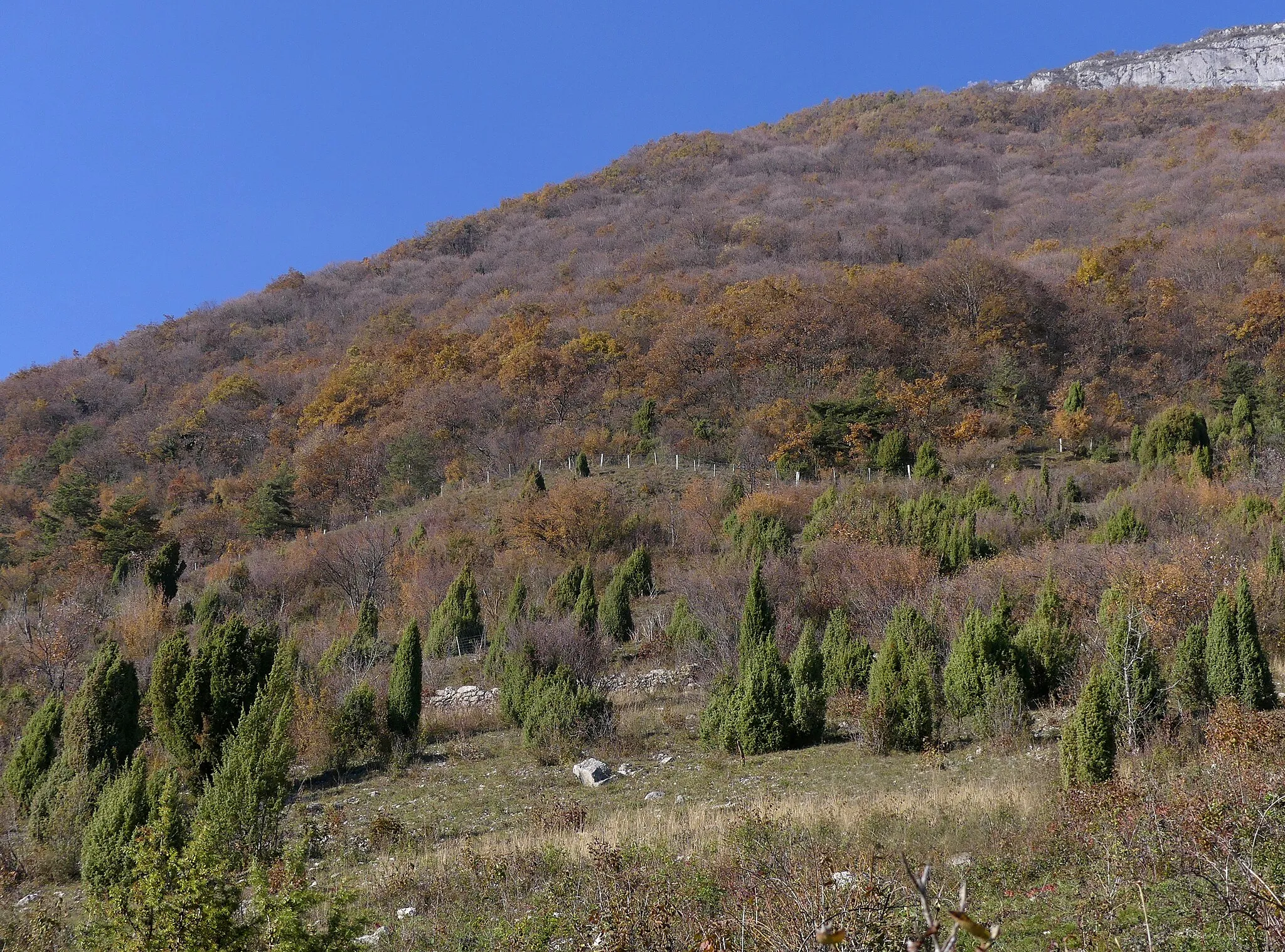 Photo showing: Sight, in autumn, of woodlands on the slopes of Roc de Tormery mountain, overhanging Montmélian and Combe de Savoie valley, in Savoie, France.