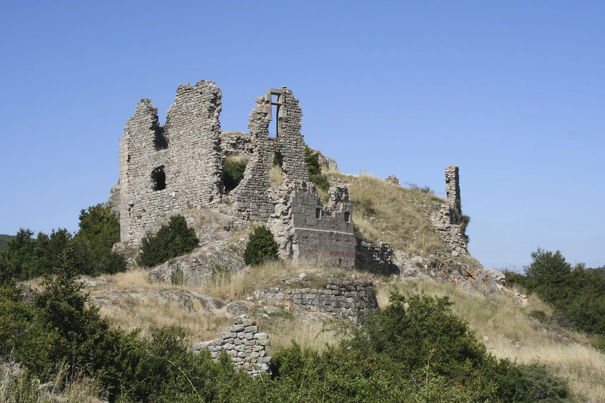 Photo showing: ruins of the castle of Pierregourde