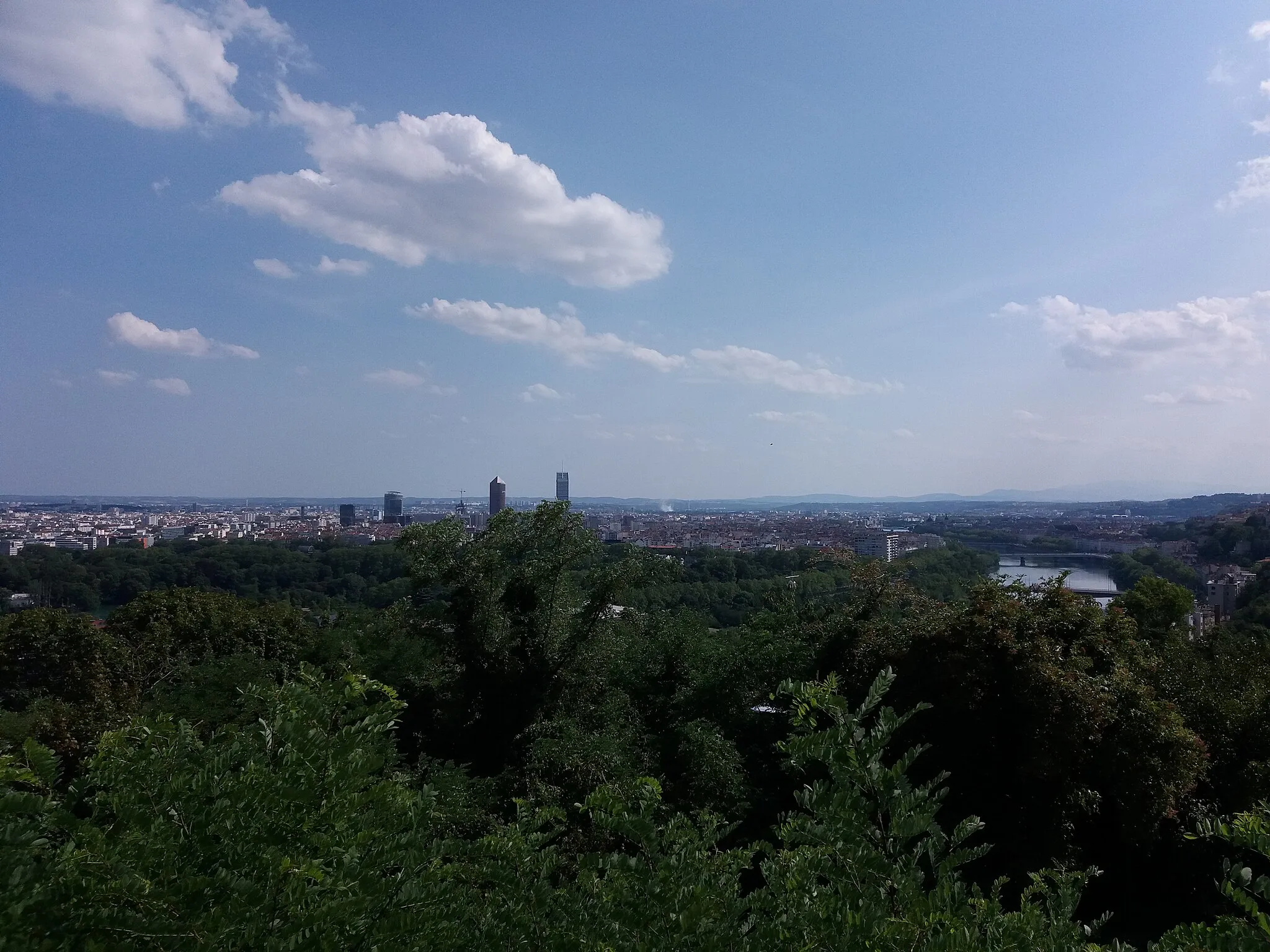 Photo showing: Vue sur l'incendie du centre de tri Nicollin à Saint-Fons (20 et 21 juillet 2019).