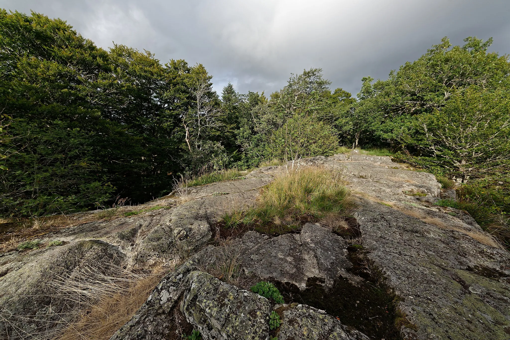 Photo showing: Site mégalithique des Pierres du Jour, sur la commune de Laprugne dans l'Allier.