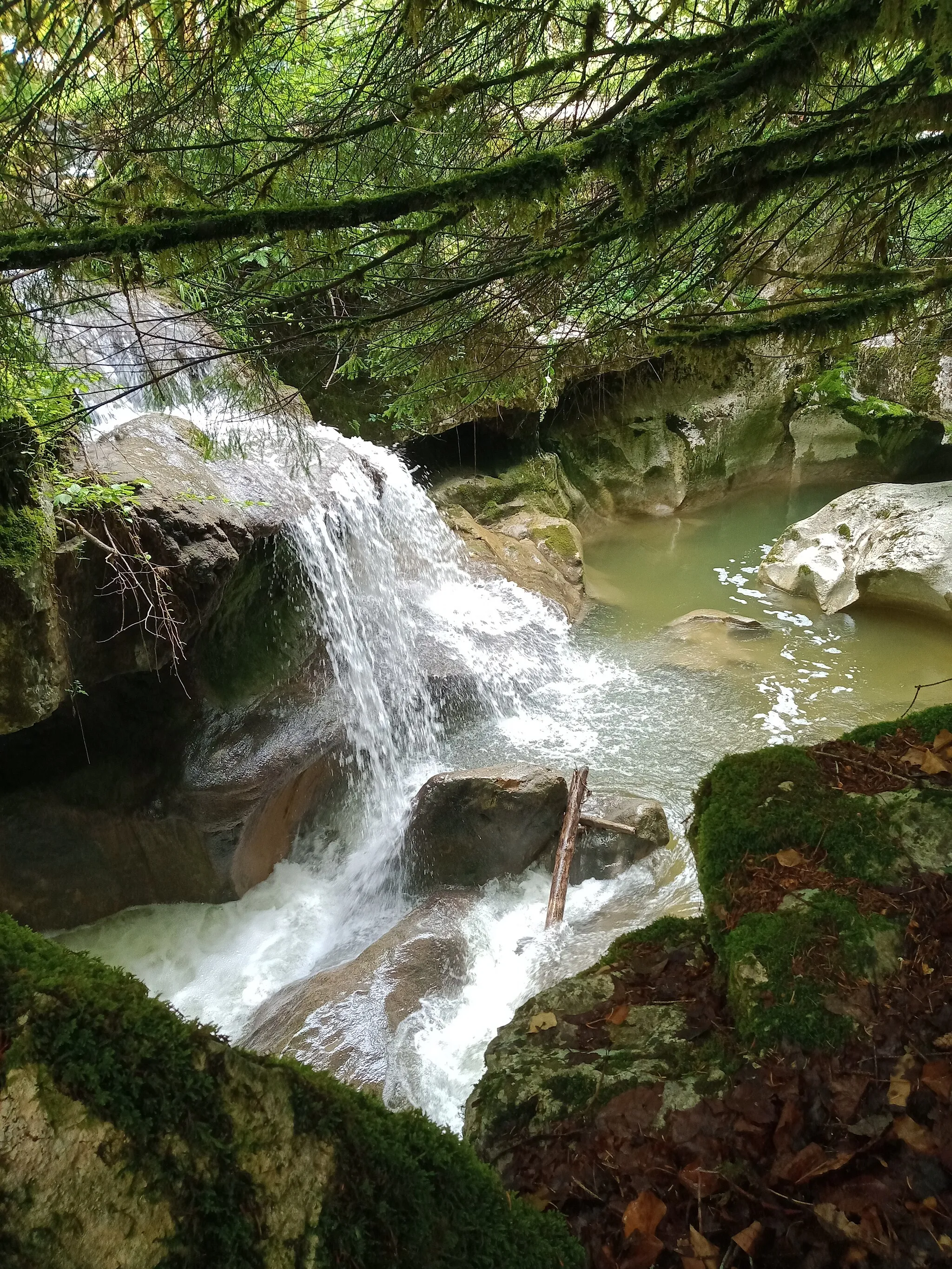 Photo showing: Gorges du Séran,  au niveau du village de Thurignin