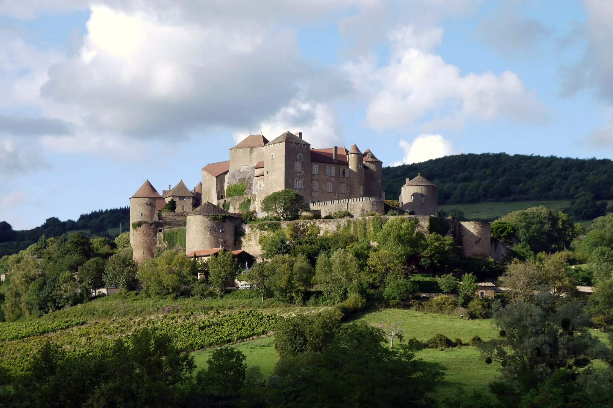 Photo showing: Berze le Chateau, Castle in France near Cluny