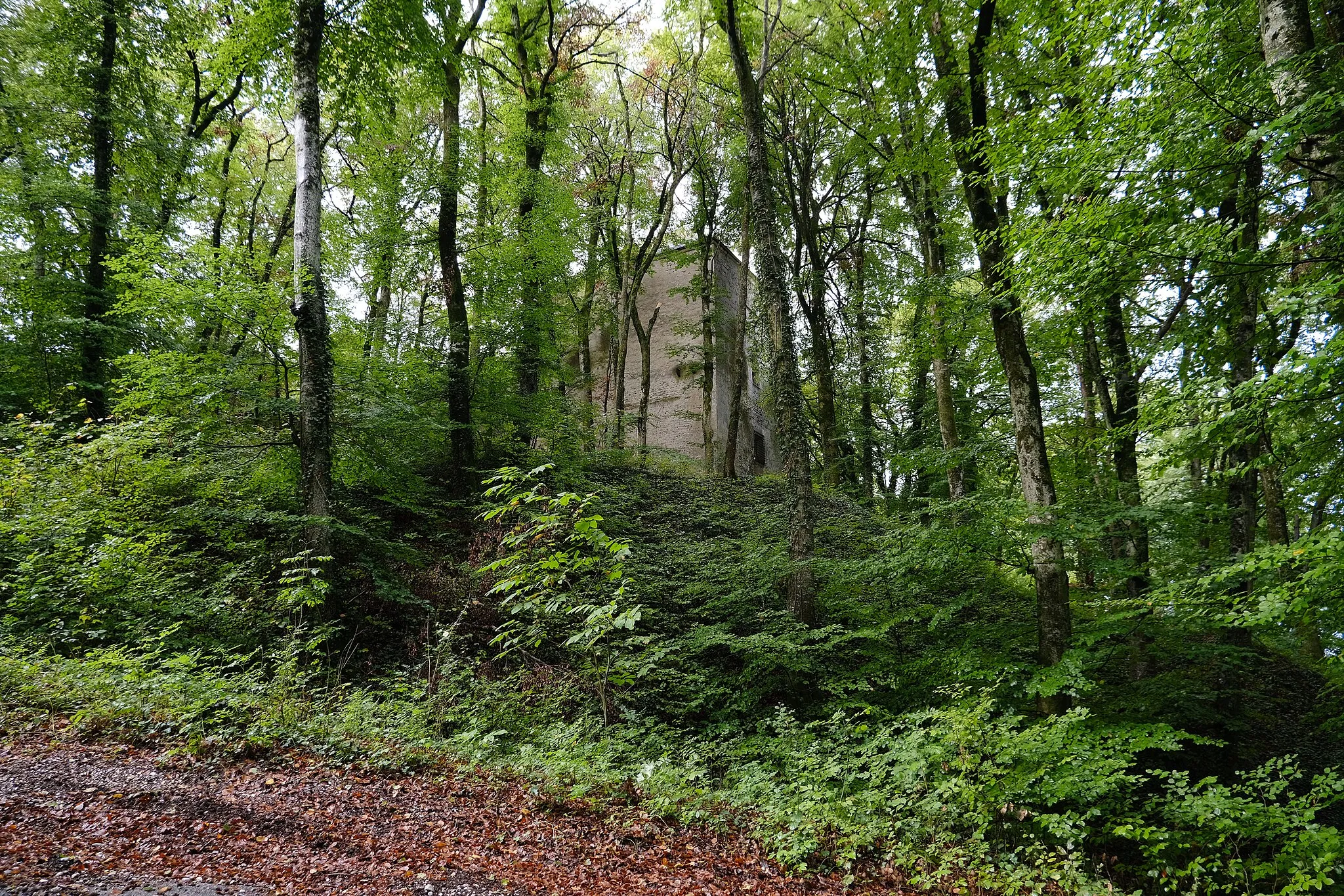 Photo showing: Château de Sallenôves @ Marlioz