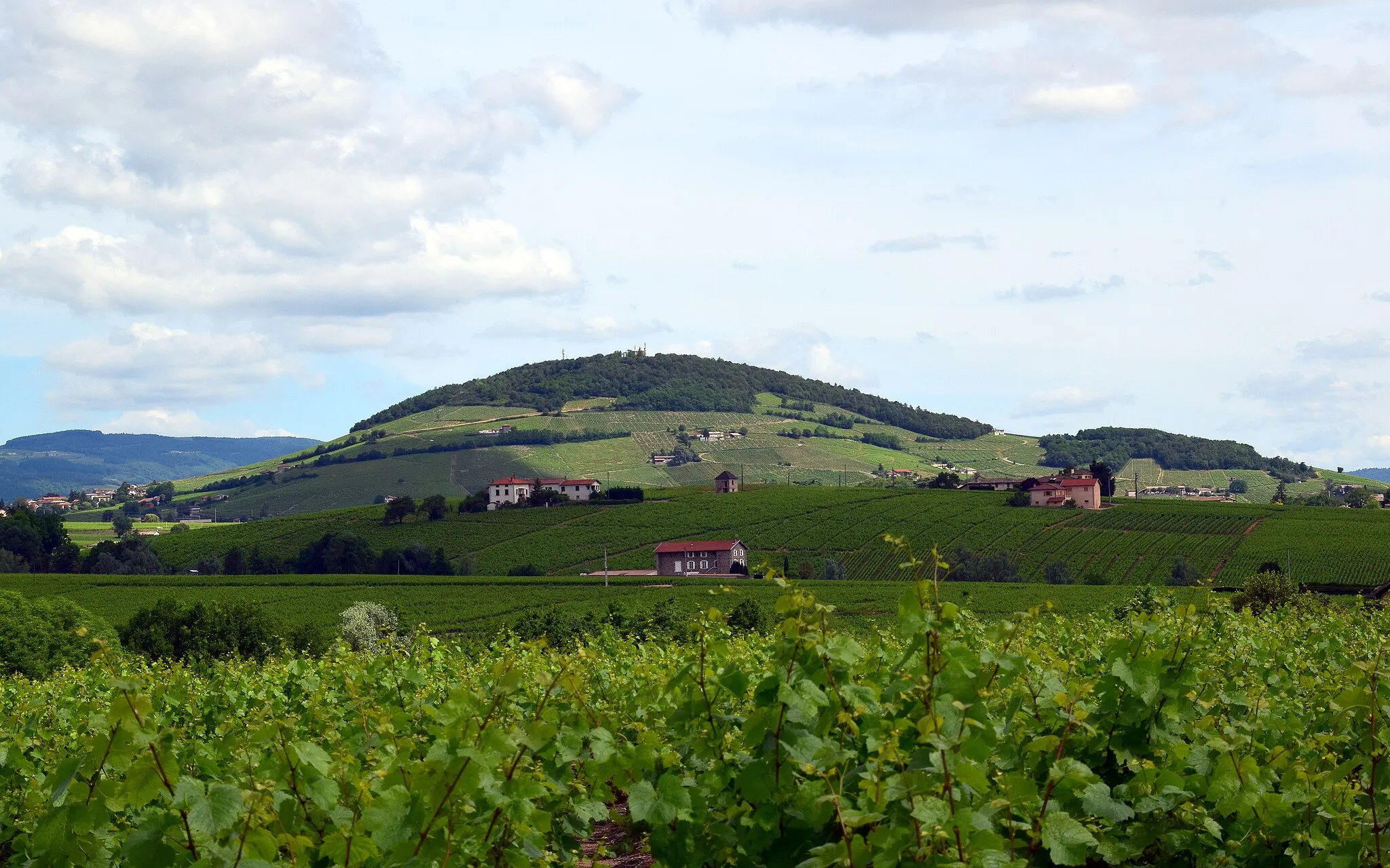 Photo showing: LE MONT Brouilly  Odenas 69 FRANCE