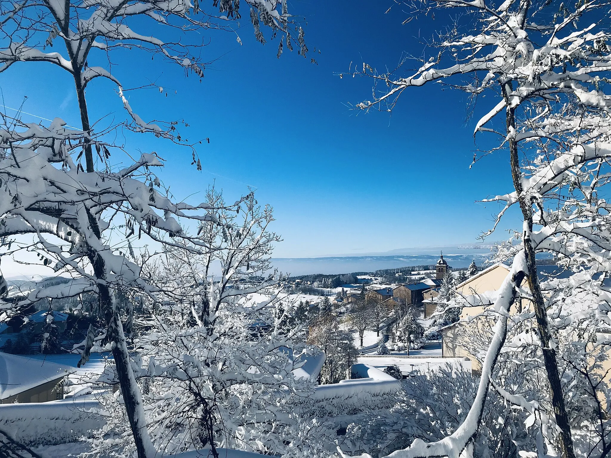 Photo showing: Violay sous la neige