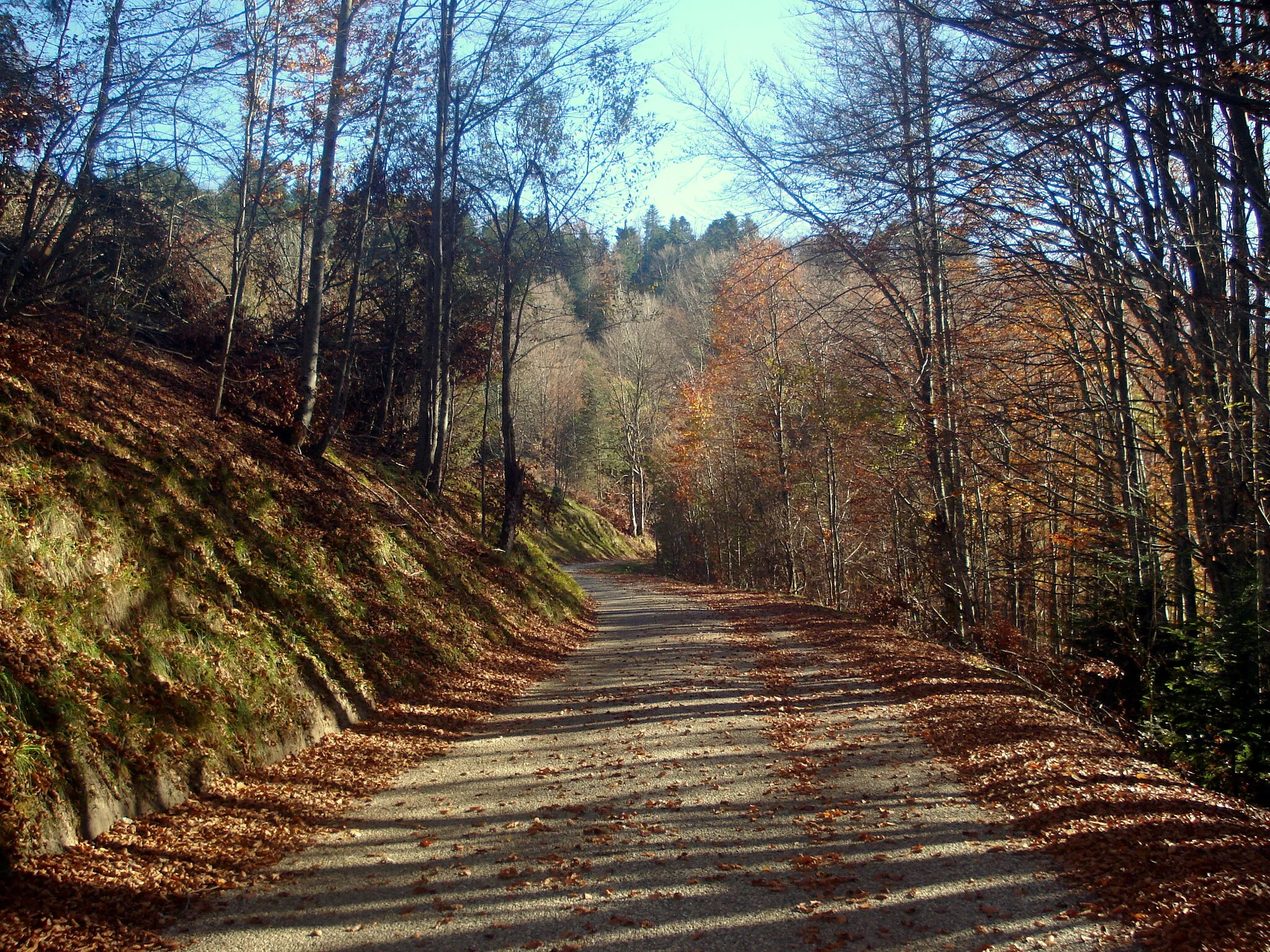 Photo showing: near Col de Belleroche.