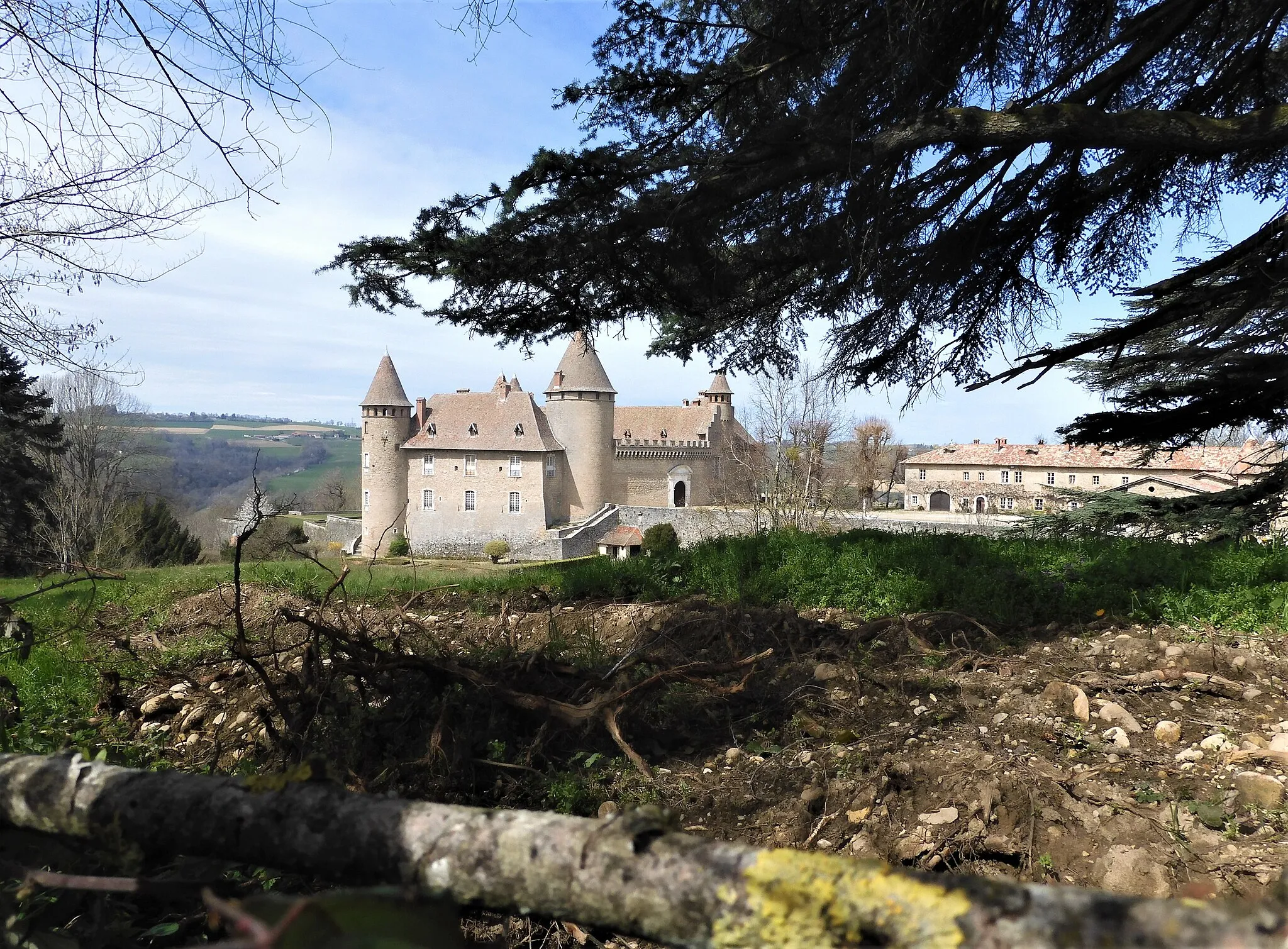 Photo showing: Château de Virieu en avril 2023