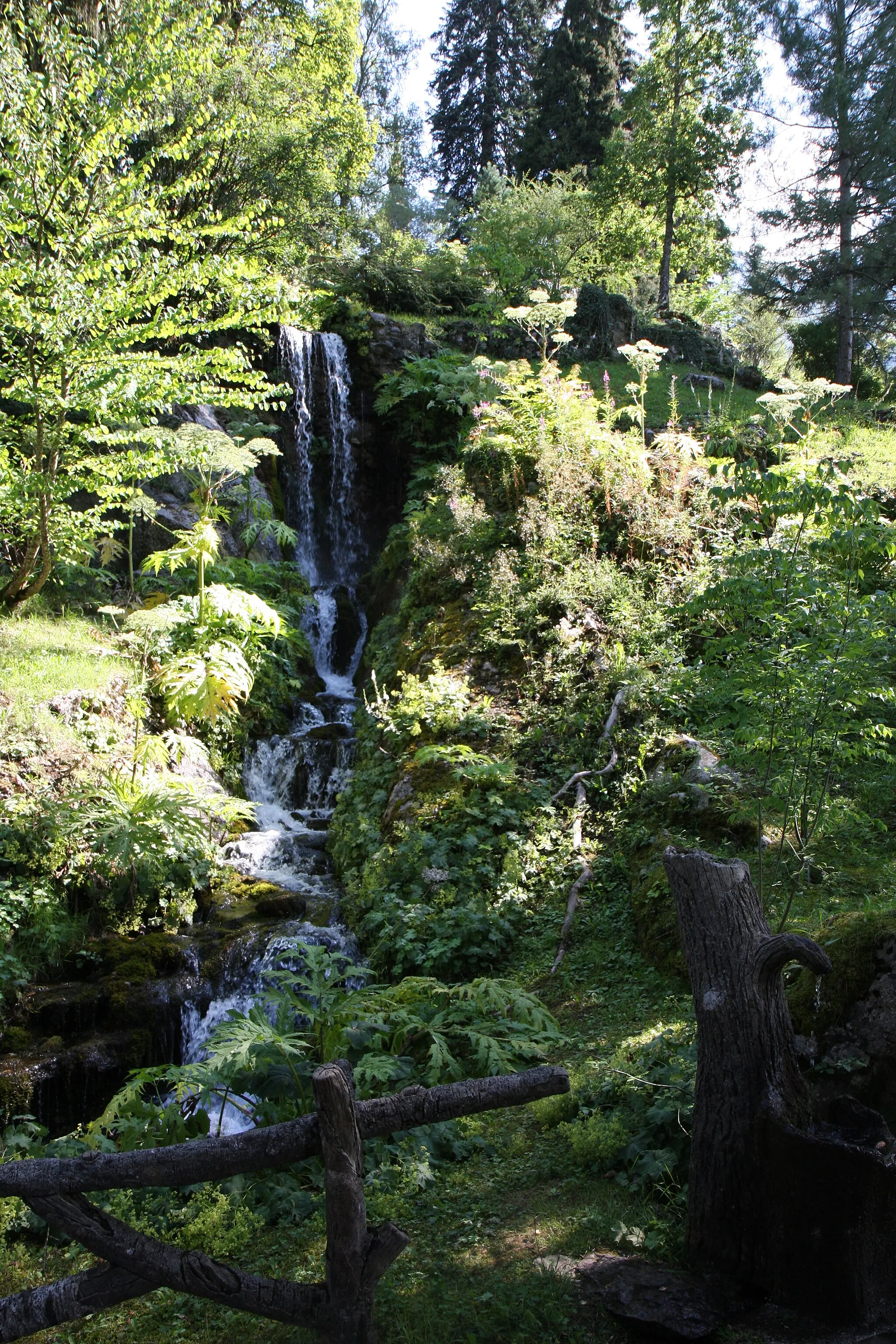 Photo showing: Alpine botanical garden La Jaÿsinia - Waterfall